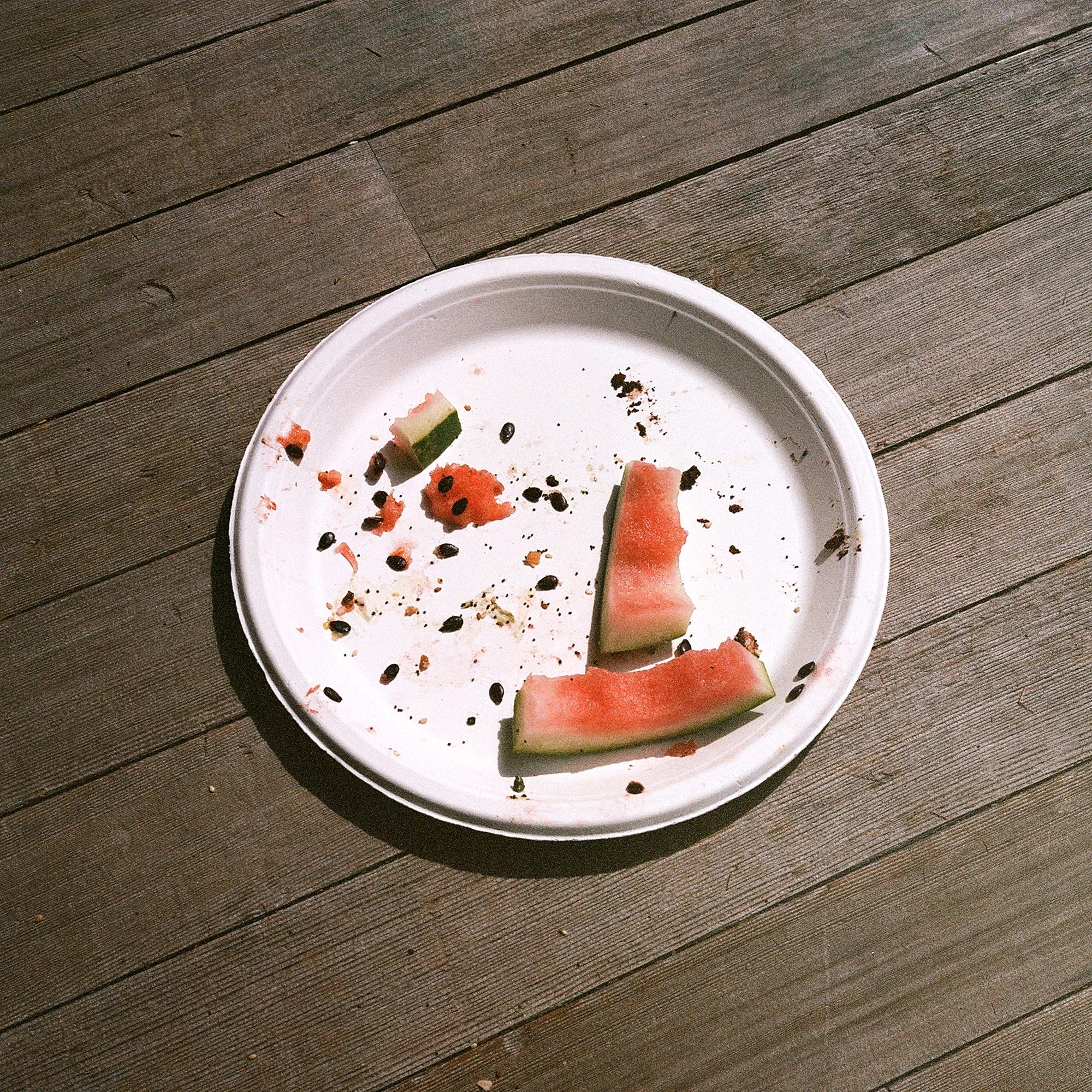 Watermelon rinds.jpg