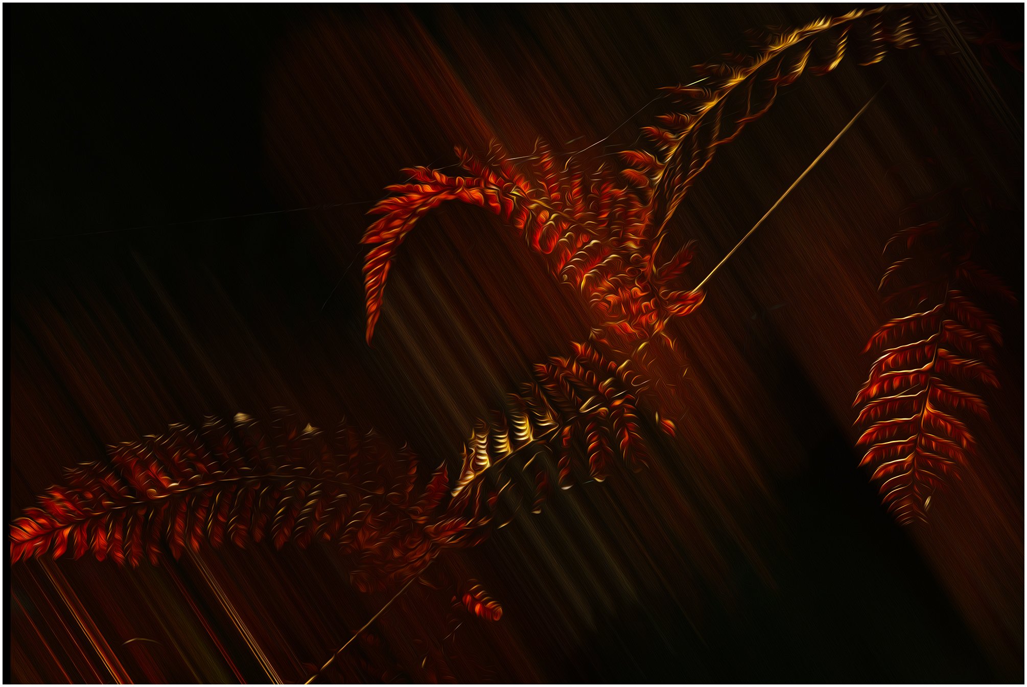 Red fern JGH_9329 rend.jpg