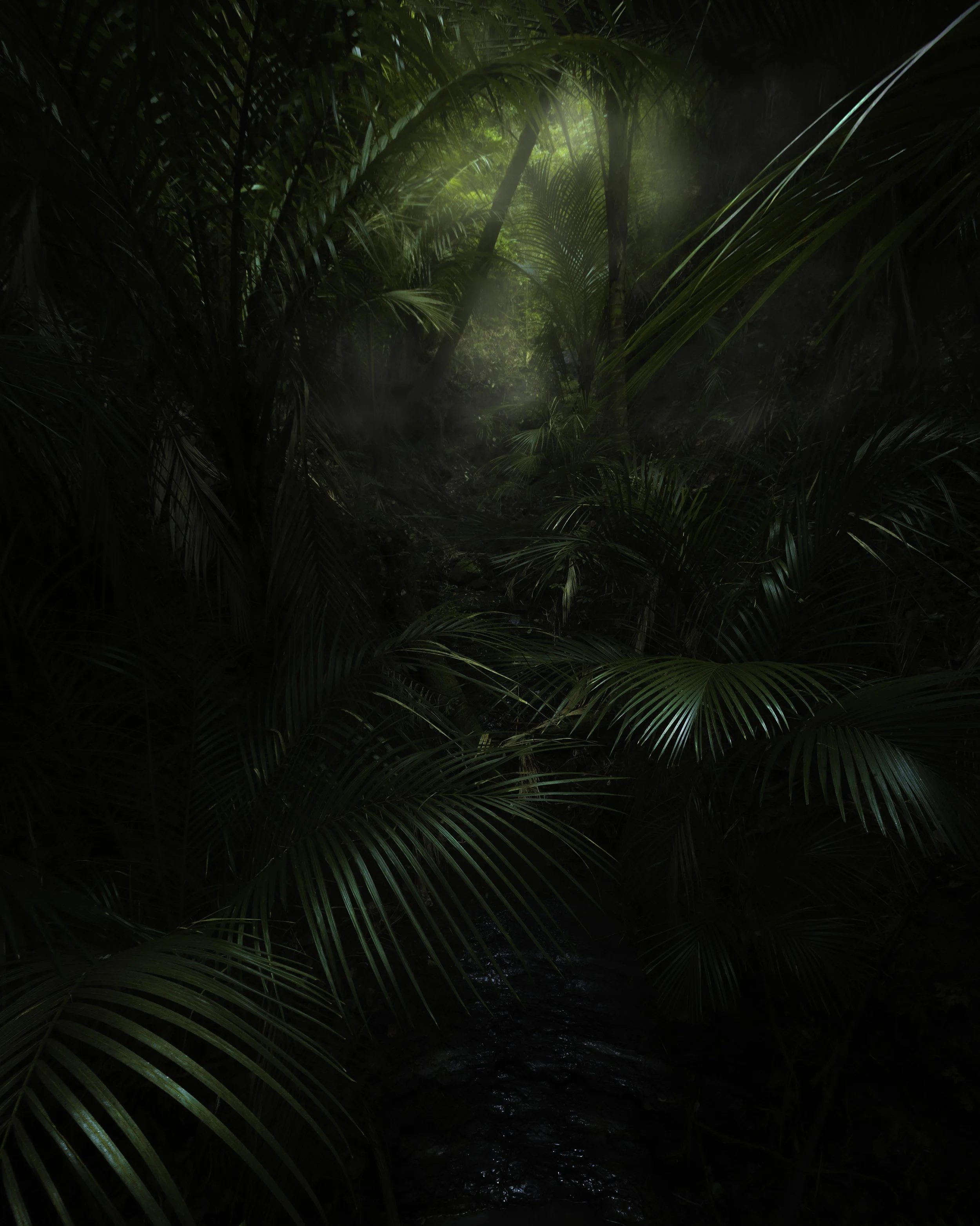 Welcome to the jungle JGH_1007.jpg