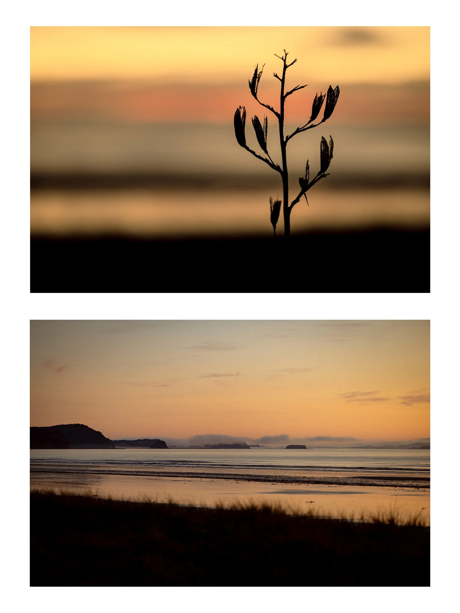 Orewa-dip-JGH_2011.jpg