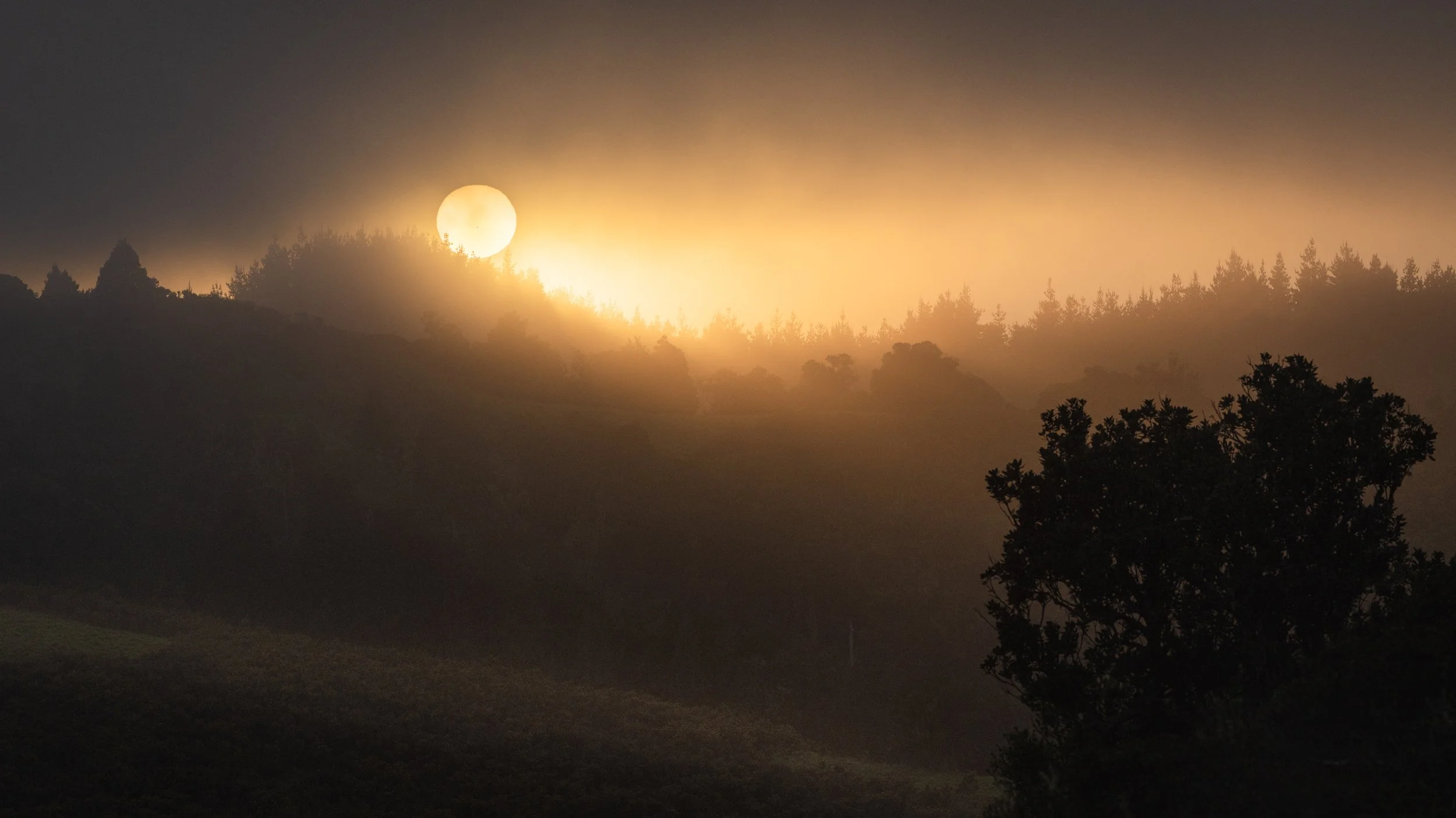 First-light-JHPA7456.jpg