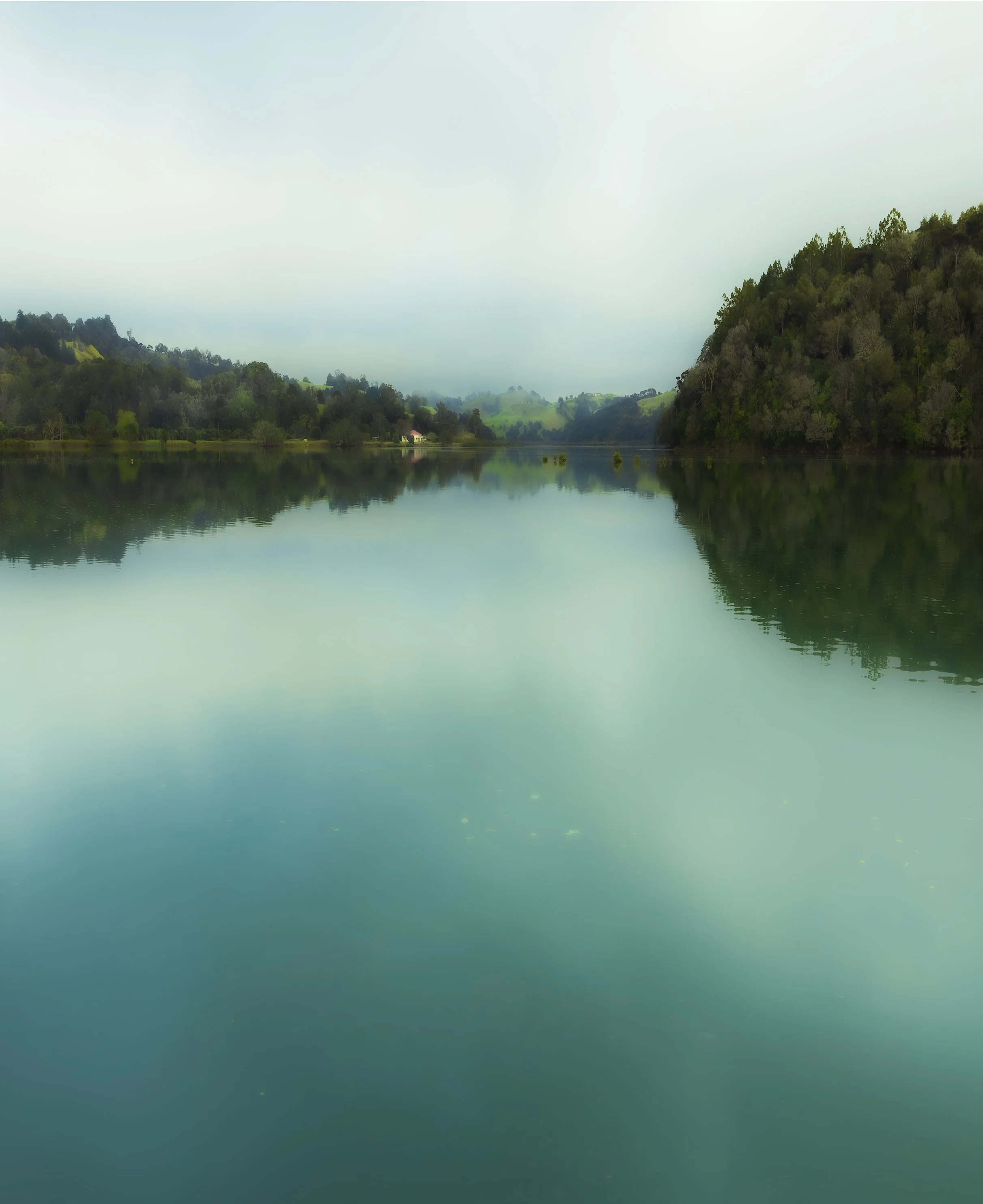 Wenderholm up the valley JGH_3509-CR3_DxO_DeepPRIME.jpg