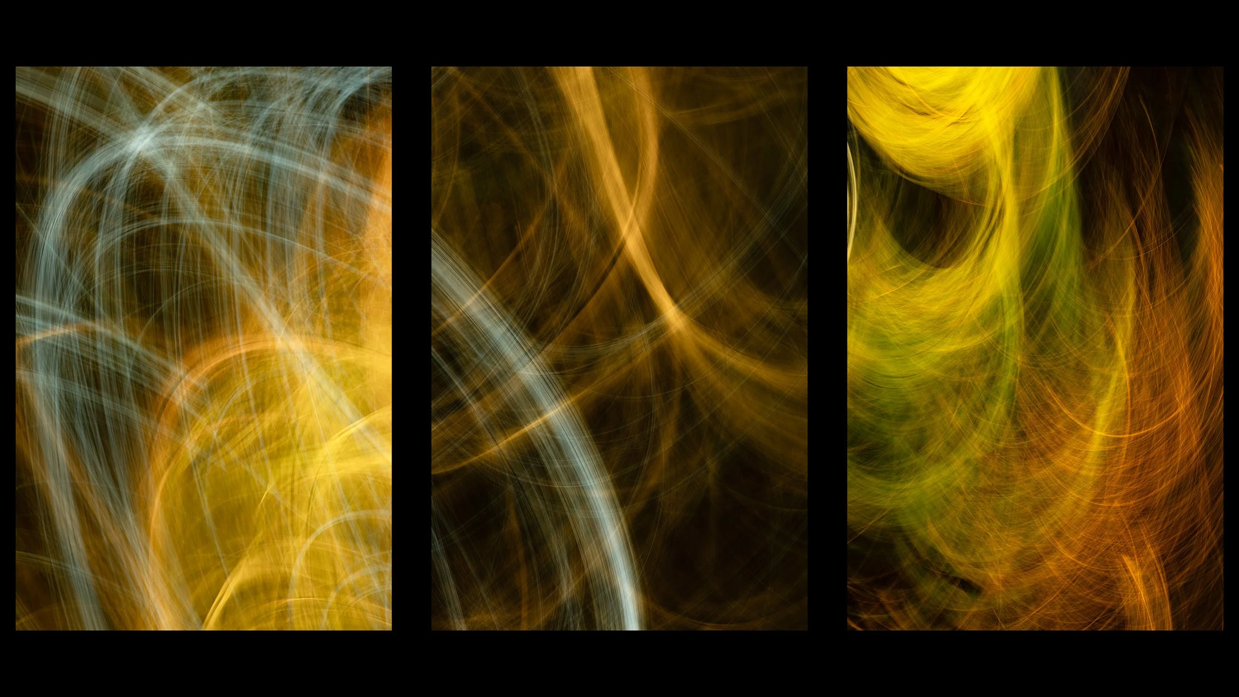 ICM morning bush tryptich JGH_9772.jpg