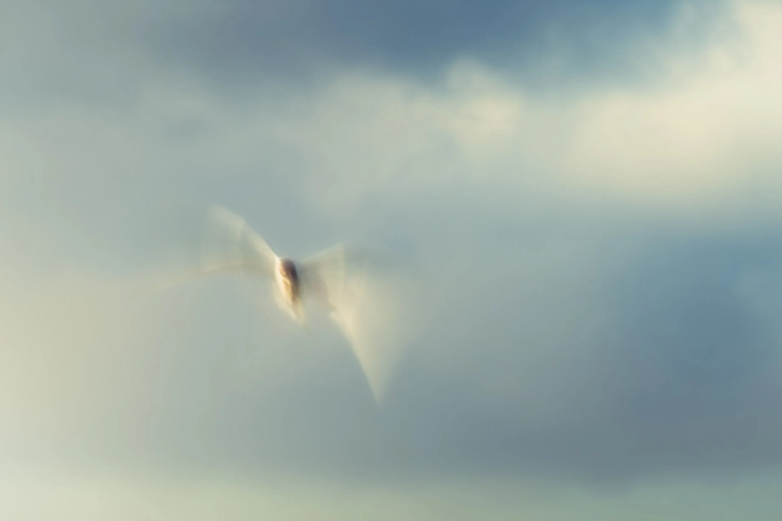 Jarrod_Harris_SOFT TURN.jpg