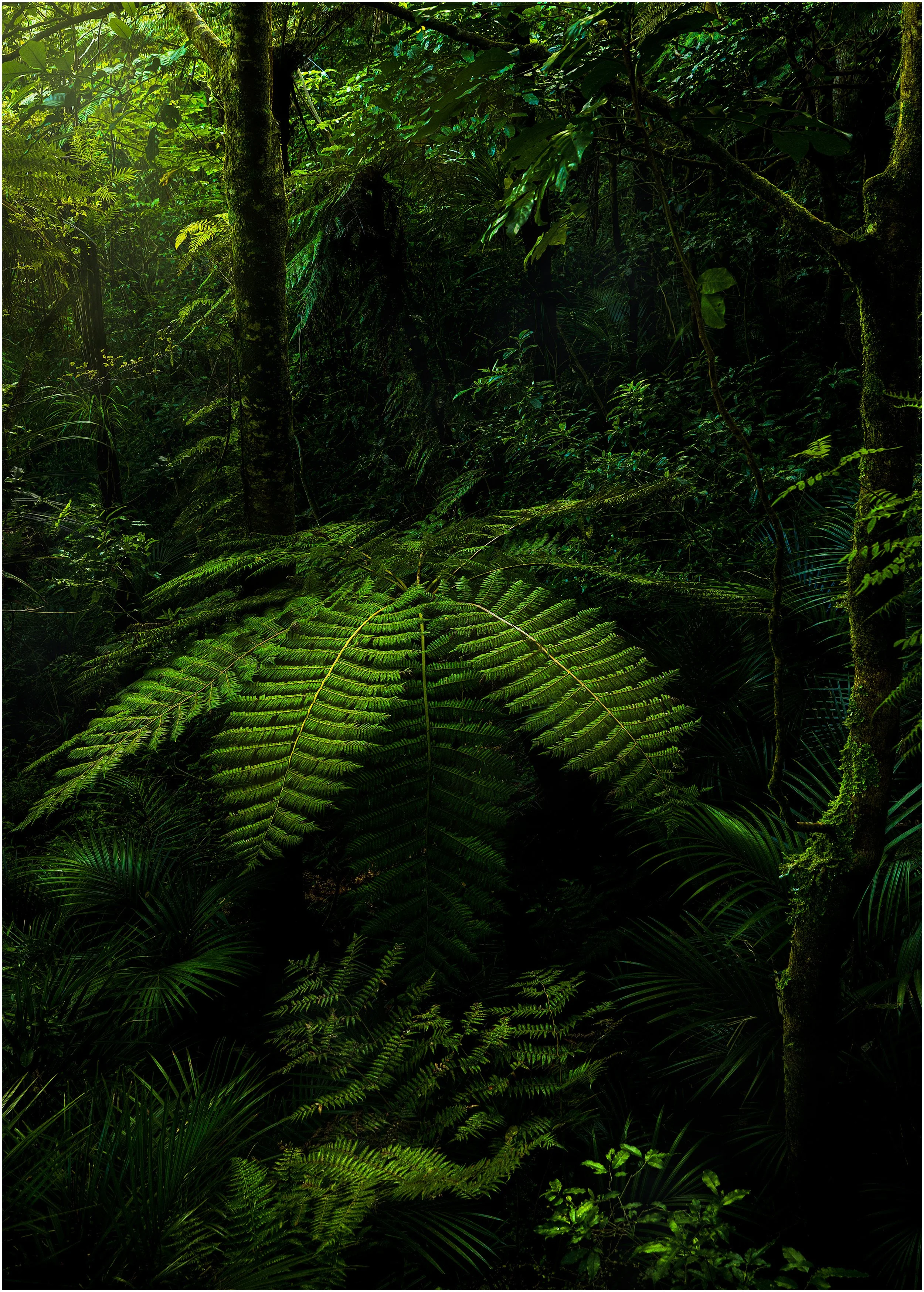 Lost in New Zealand JH_8957.jpg