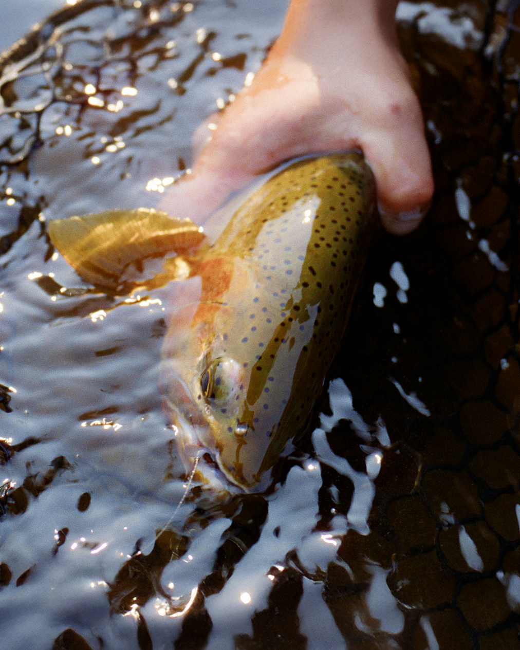 The making of a fly fishing film
