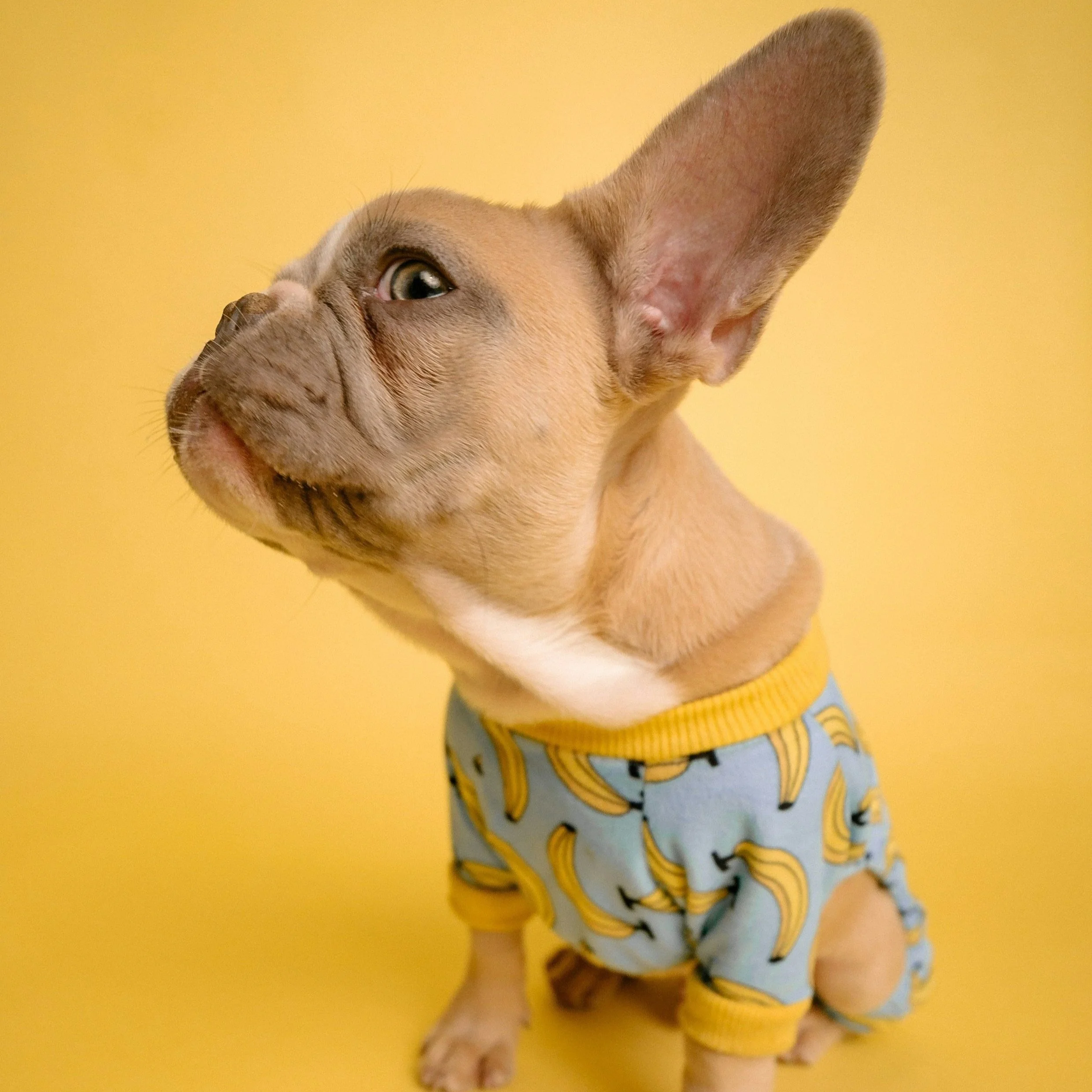 Isaiah 6:9 - Hearing First