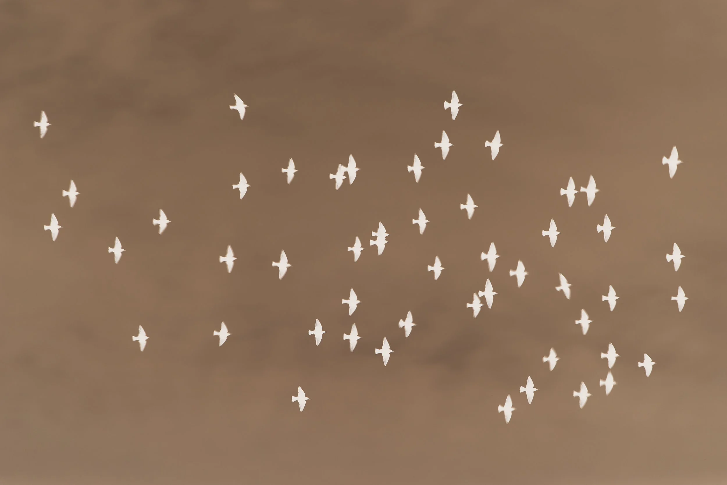 James 5:14-15 - Praying From Faith