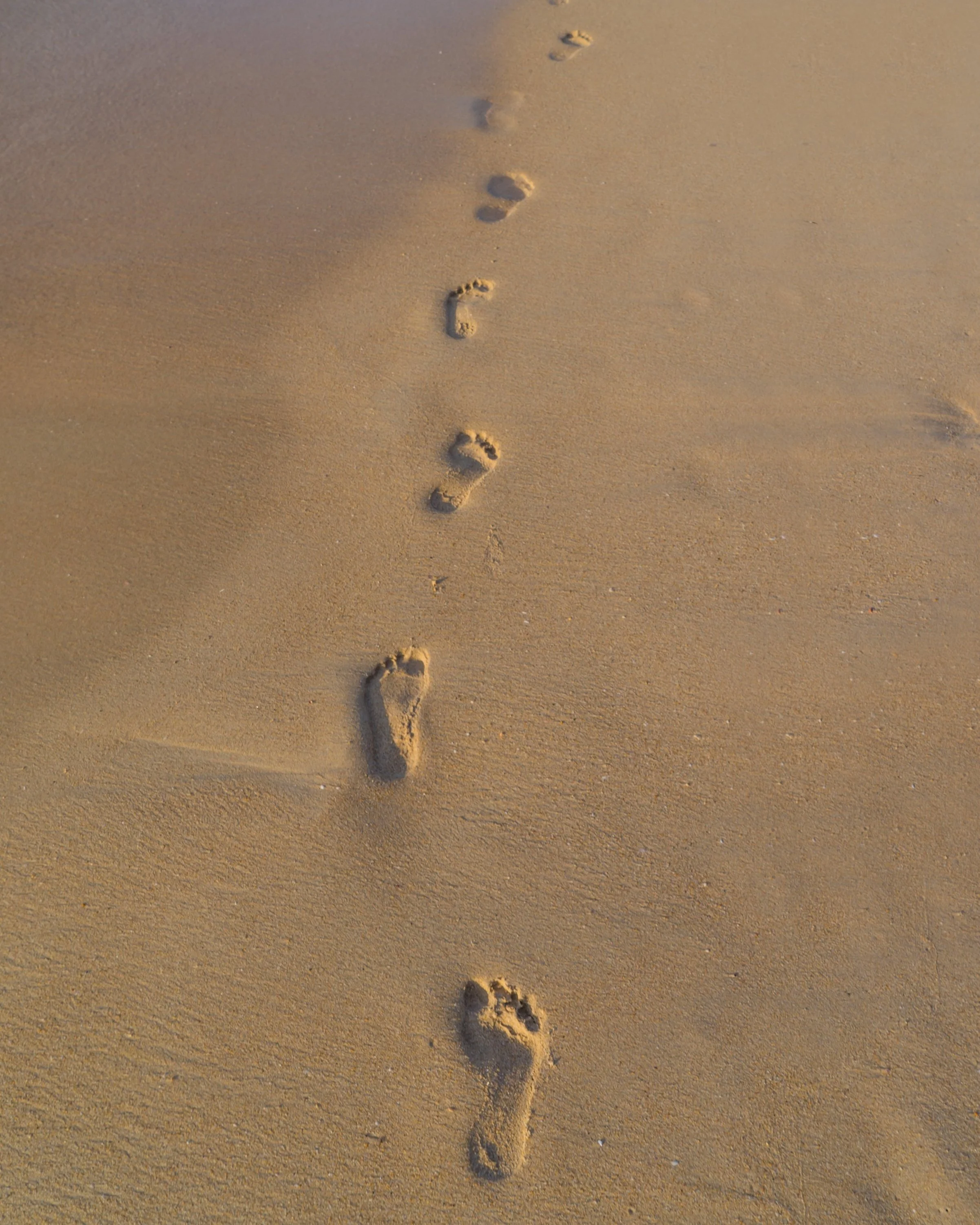 Jeremiah 10:23 - Follow His Steps