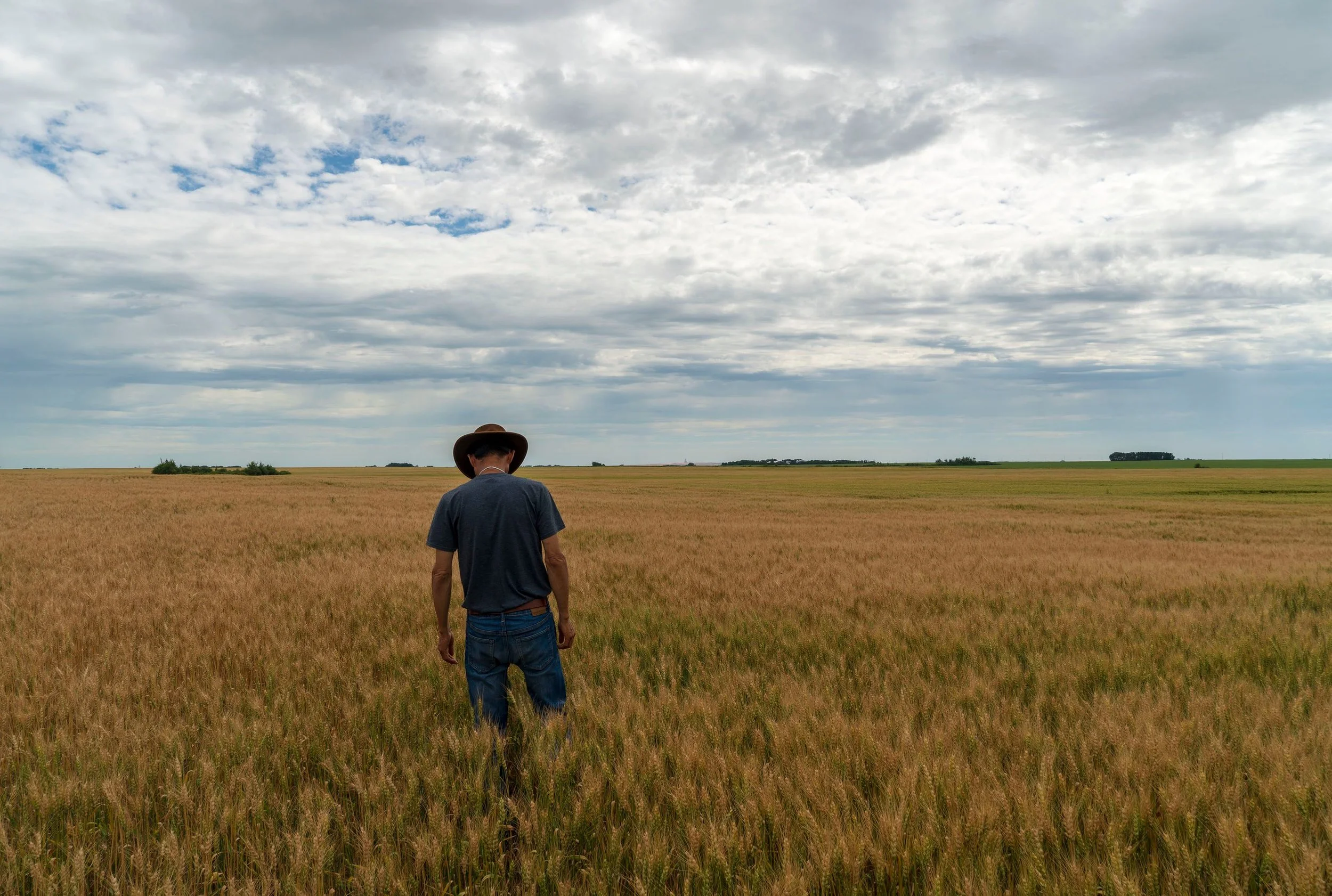 Farmer Mental Health in Alberta