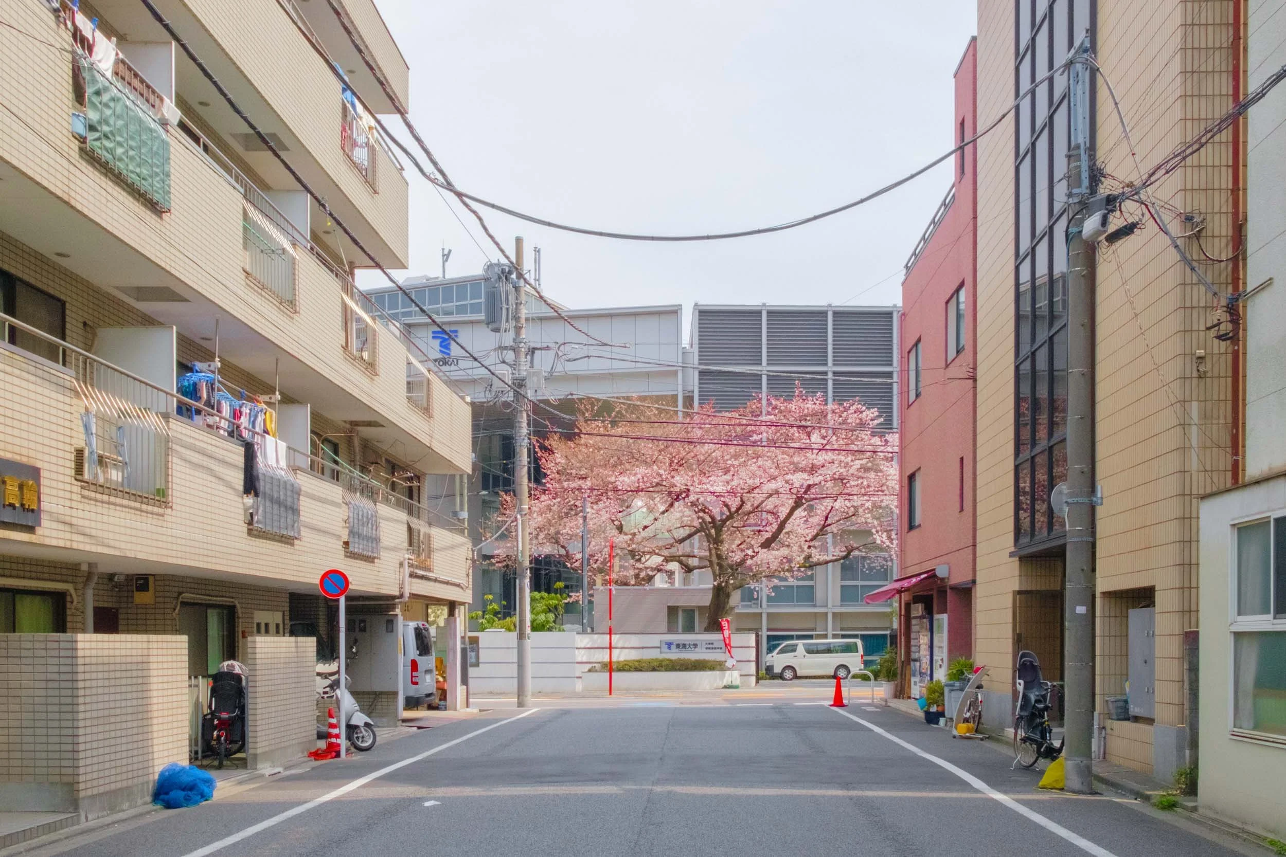 TokyoDay08.jpg