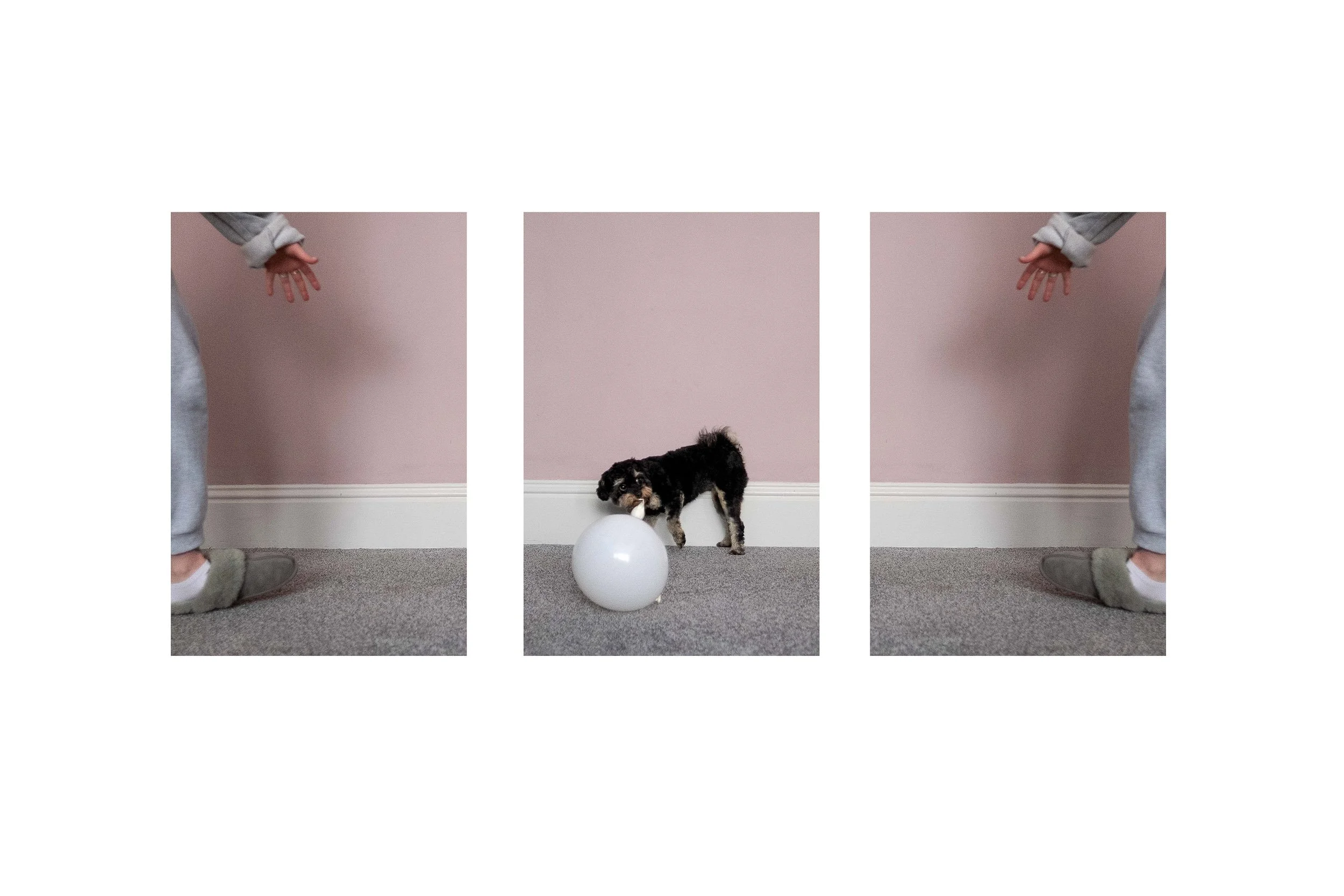 FLO_White_Unframed.jpg