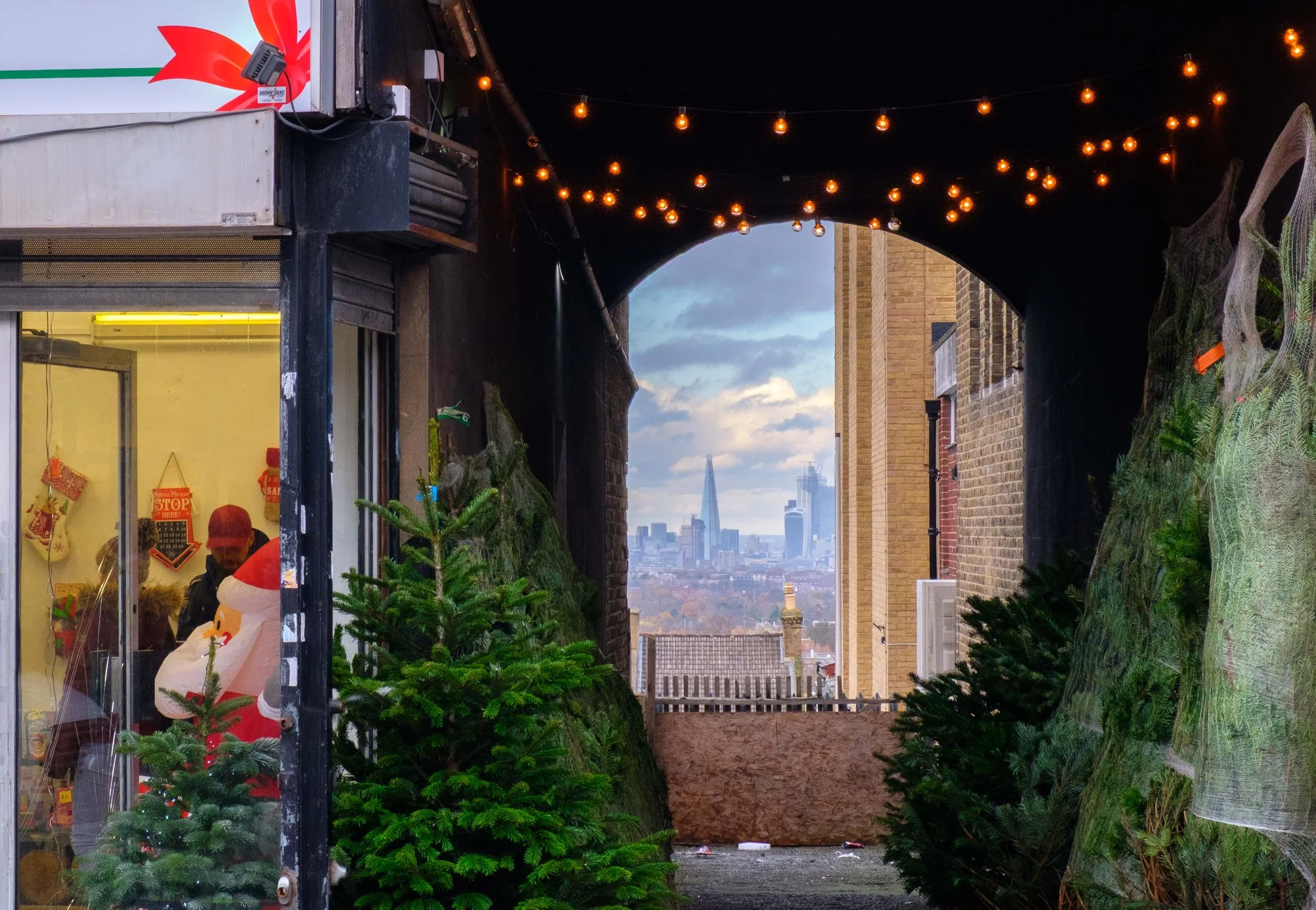 ChristmasWithAView.jpg