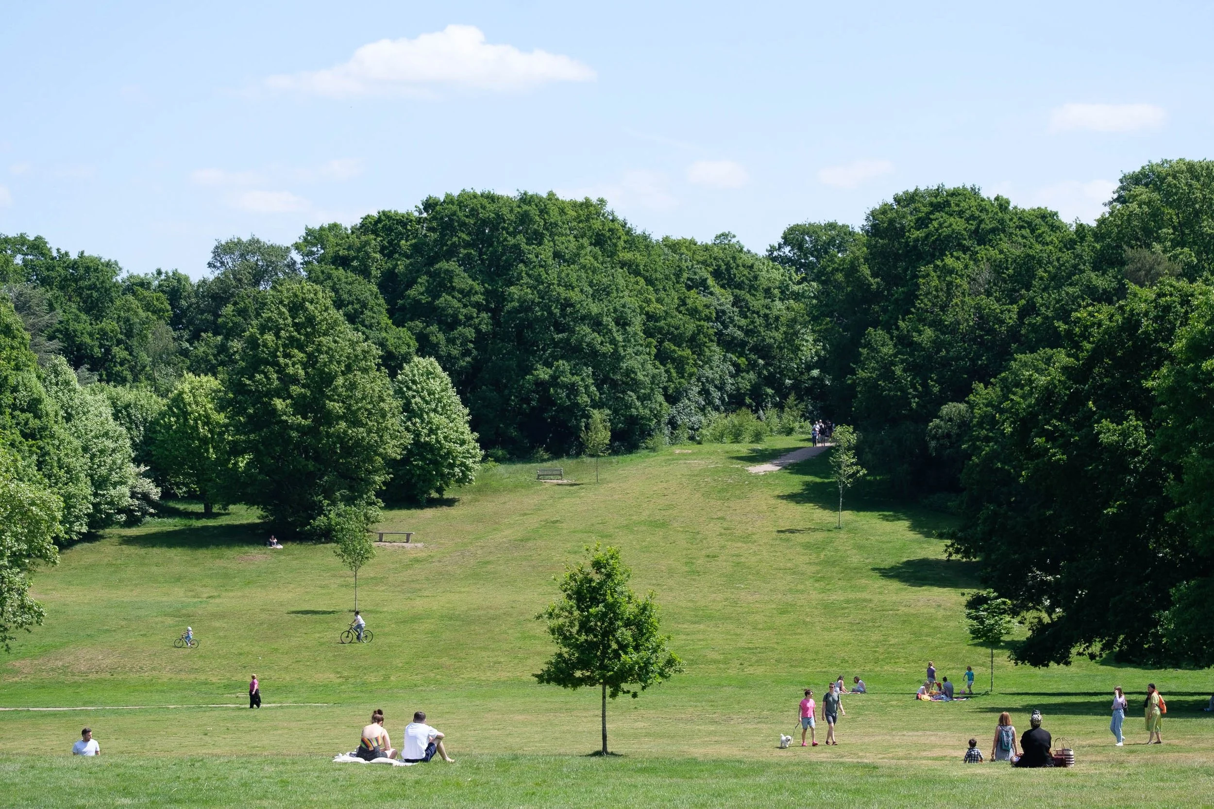 DSCF3926.jpg