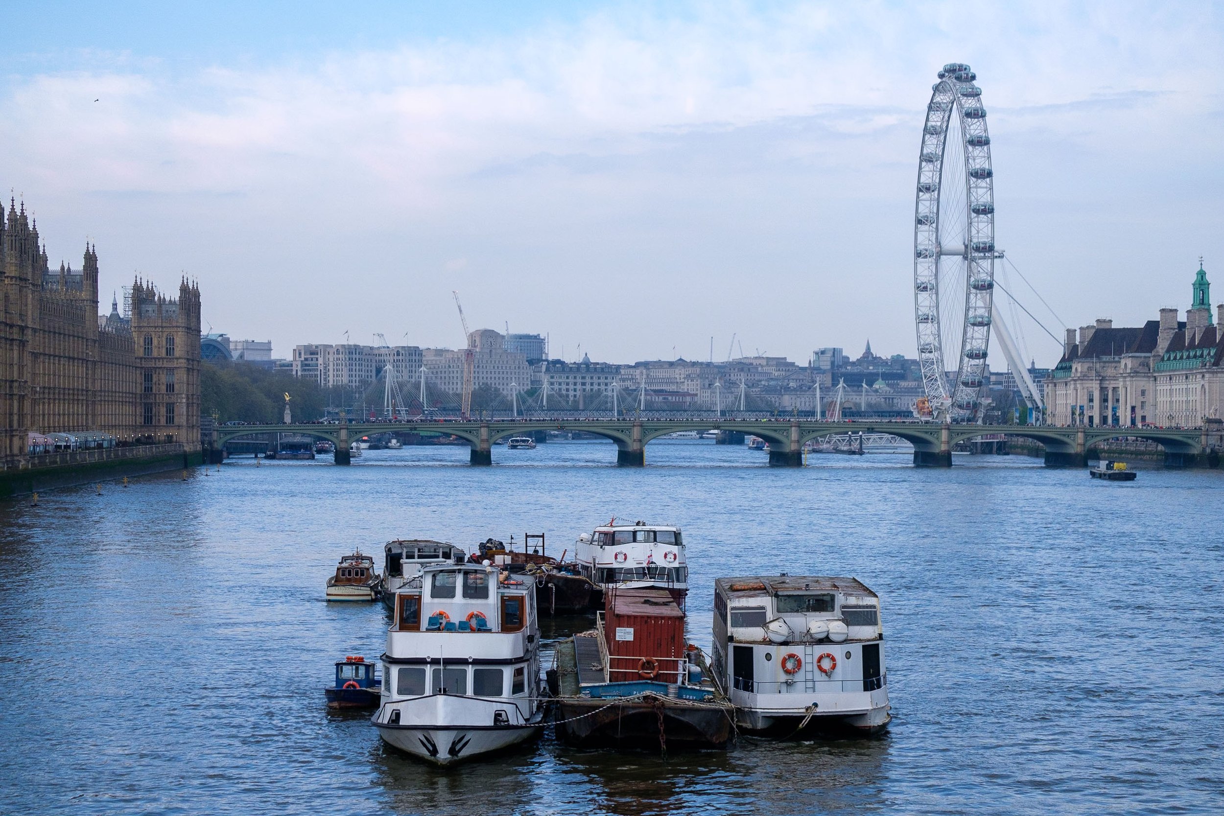 DSCF8373.jpg