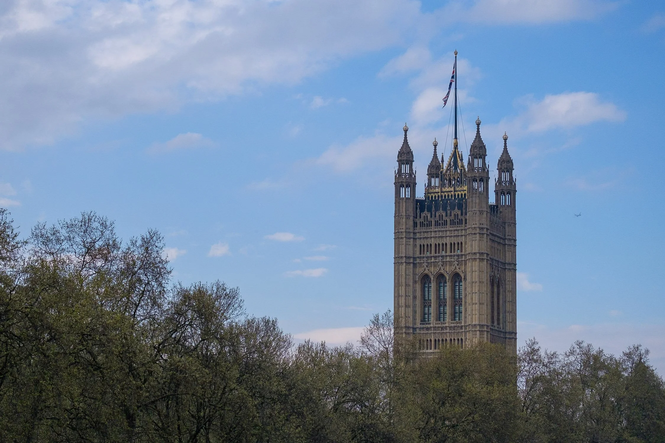 DSCF8376.jpg