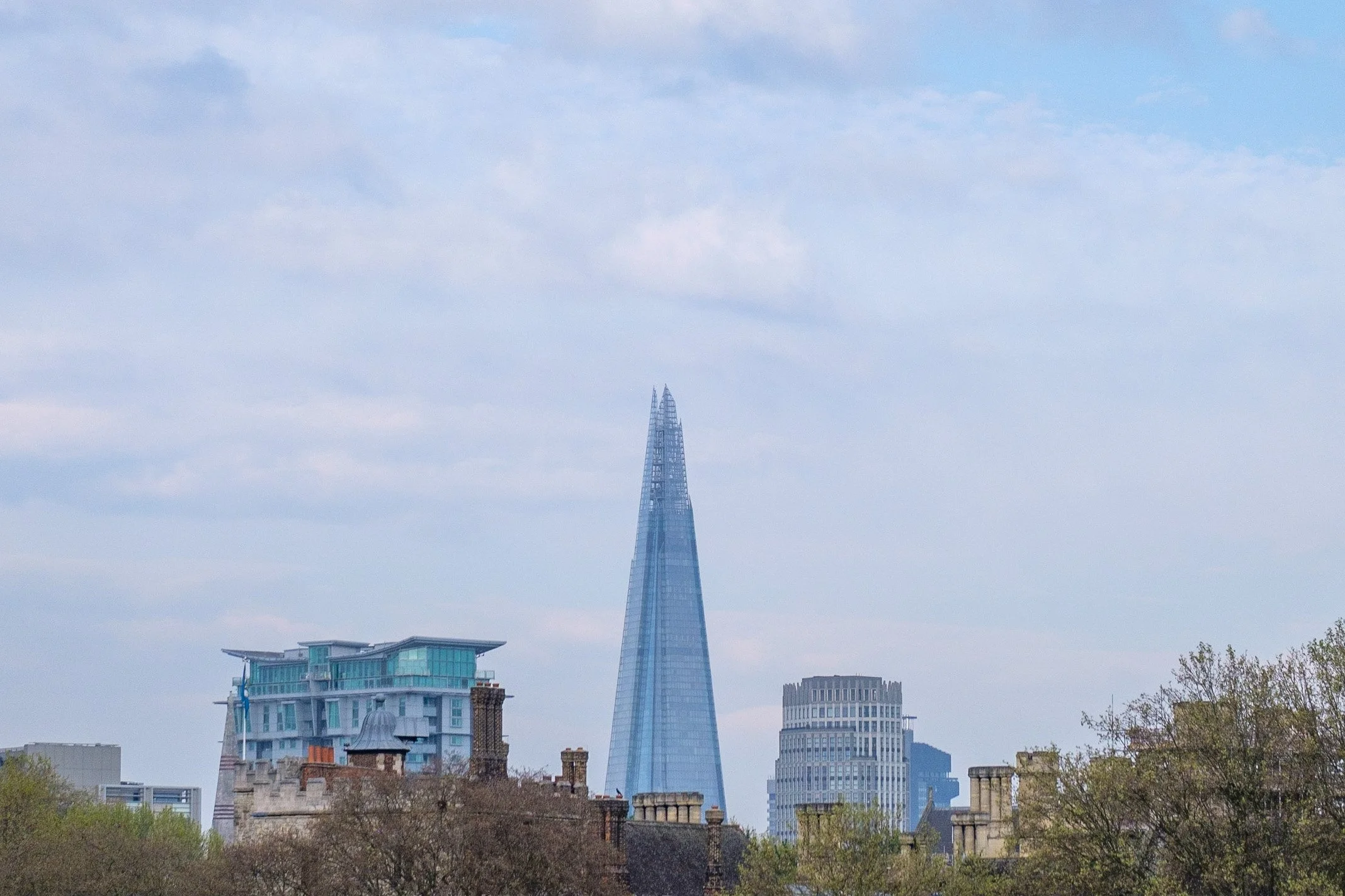 DSCF8380.jpg