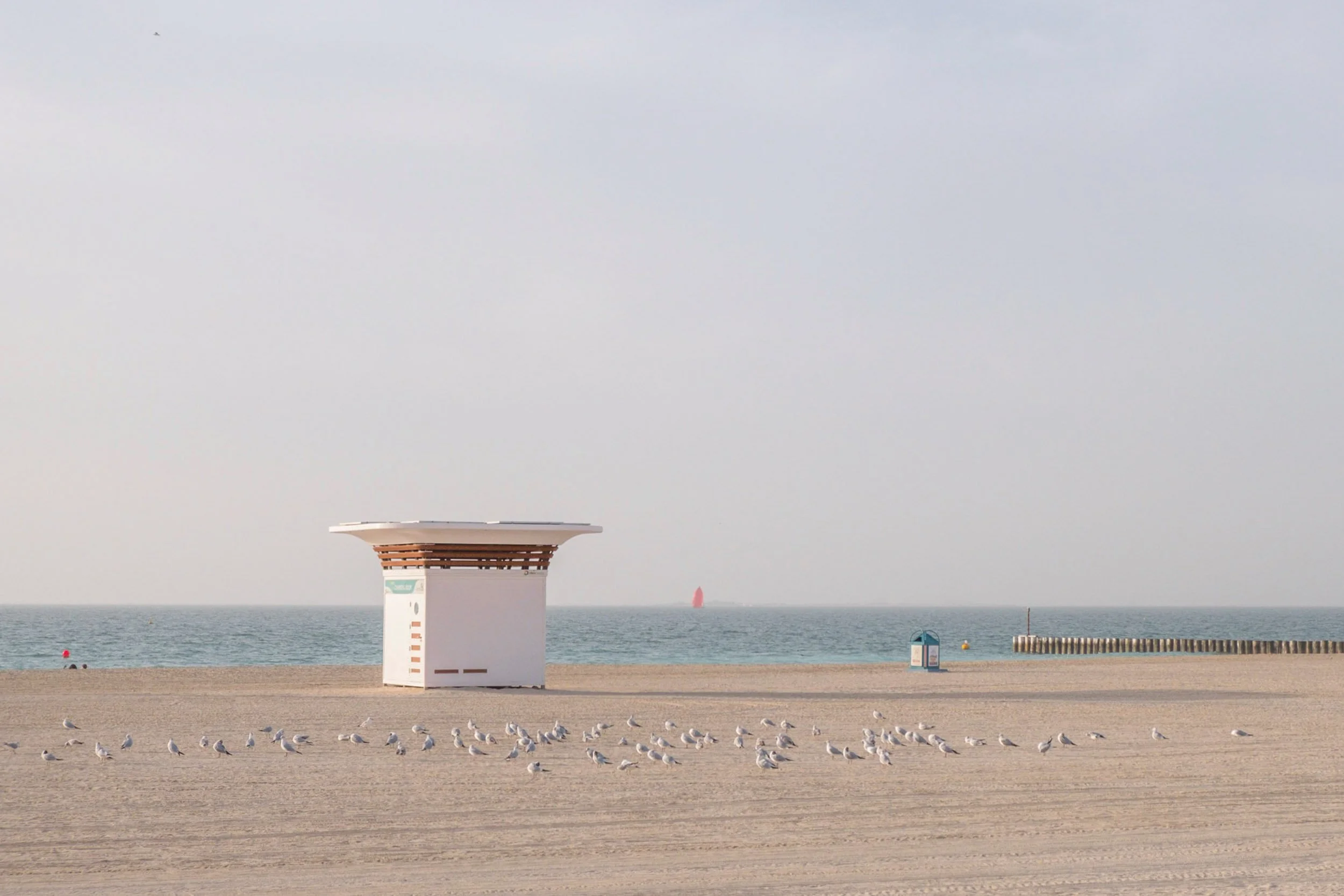 DSCF6418.jpg