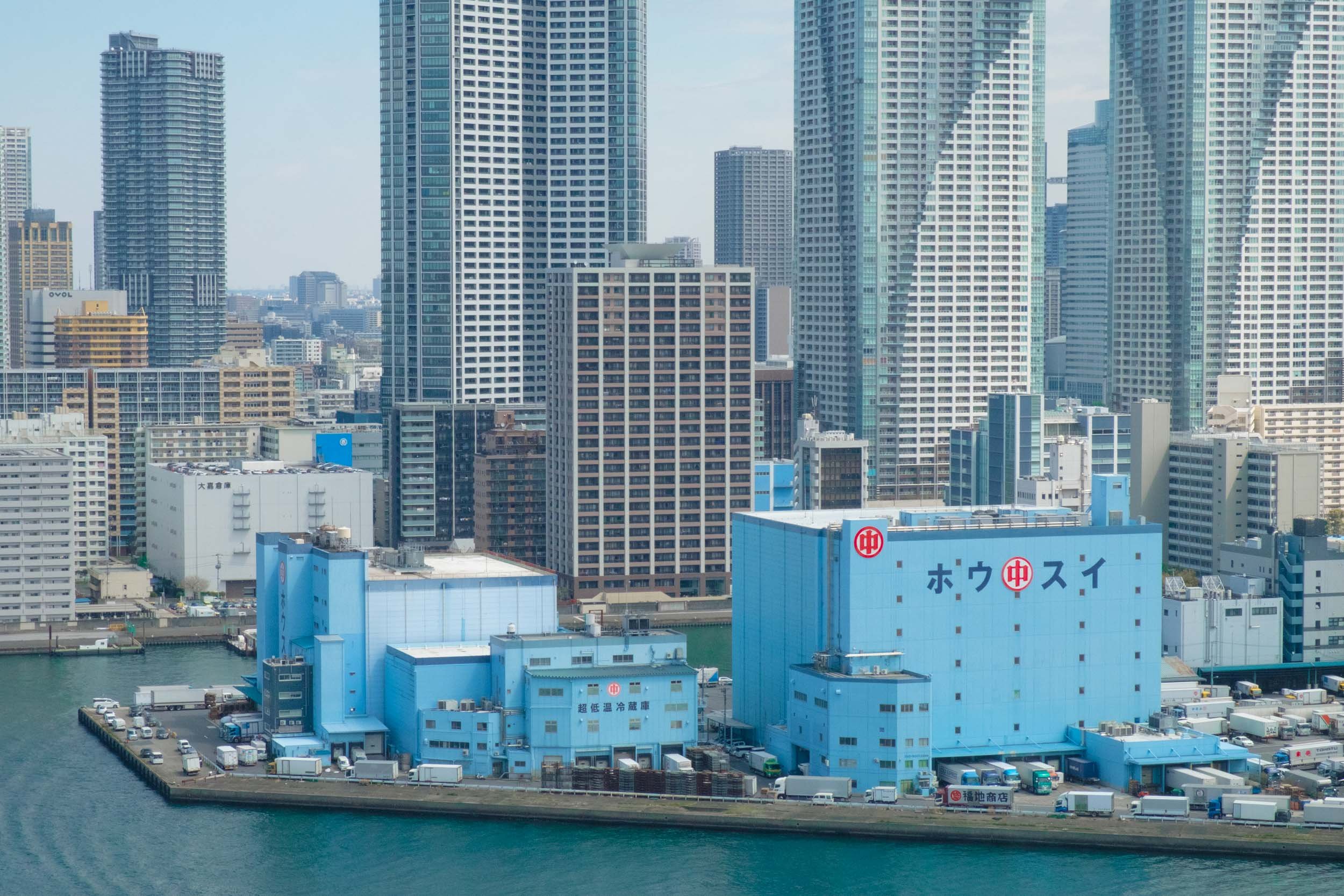 TokyoDay17.jpg