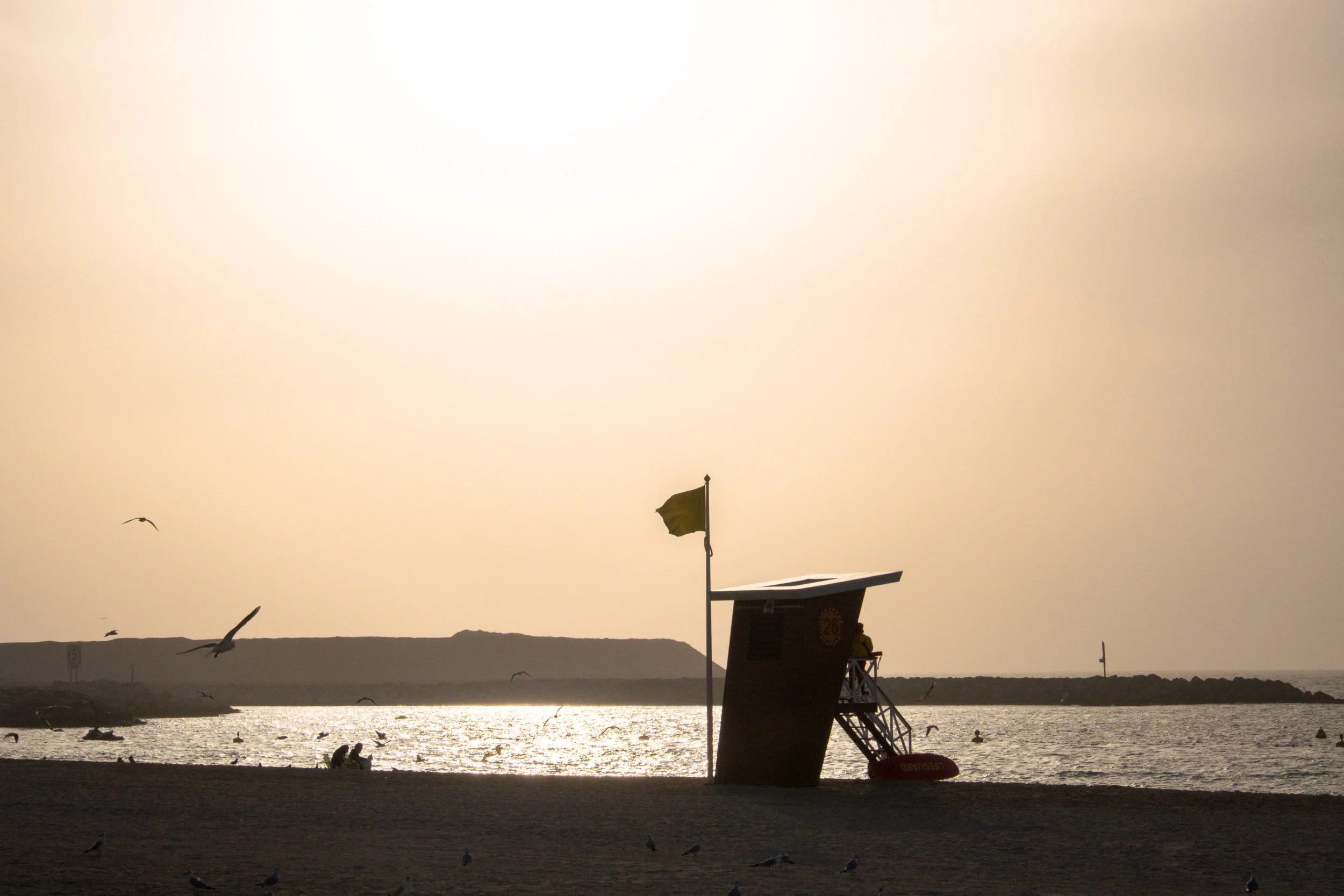 Dubai 002.jpg