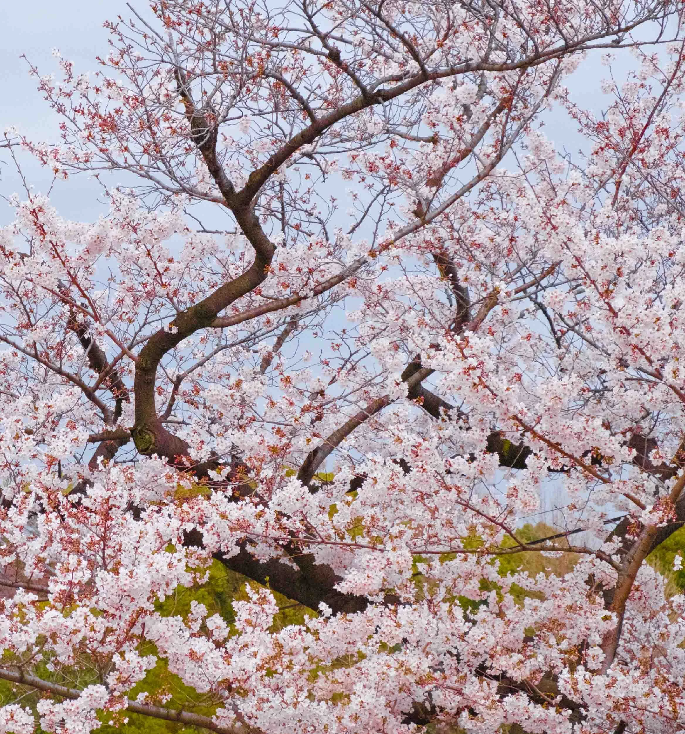 TokyoDay04.jpg