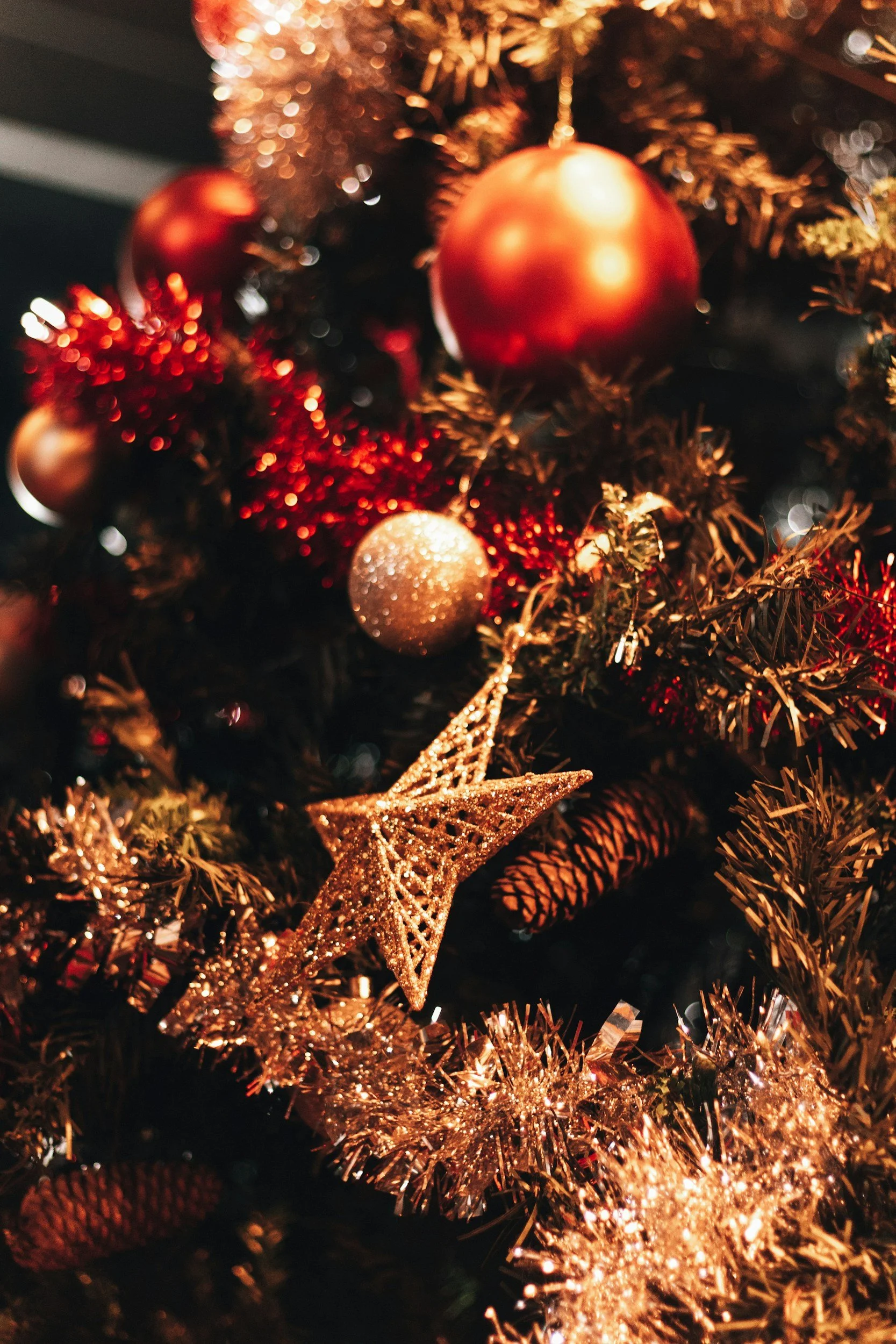 Youth Christmas Party