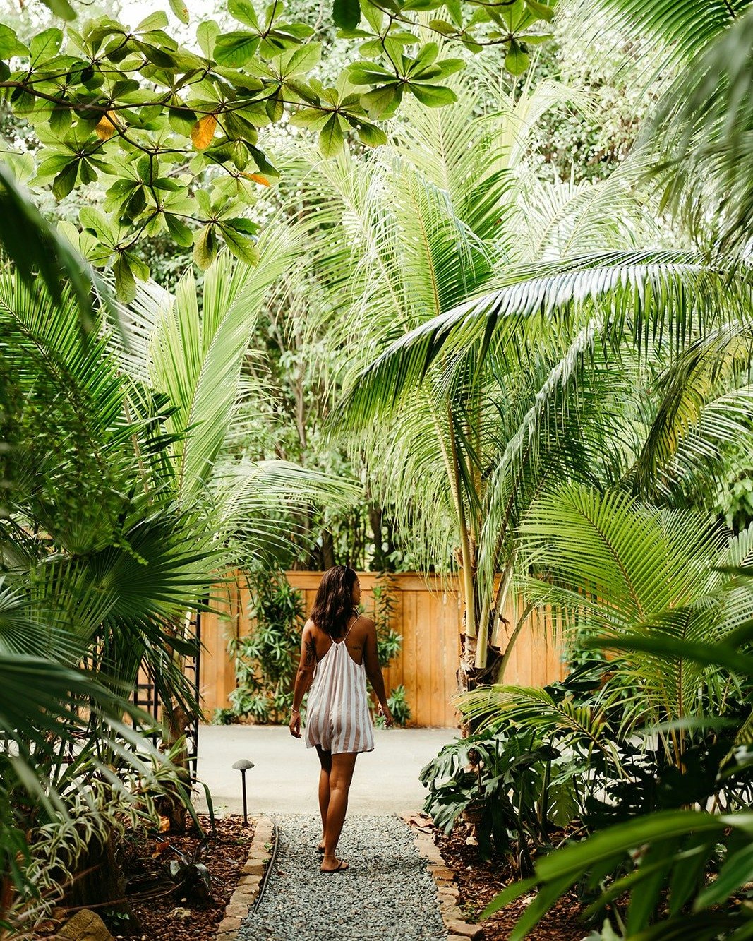 &quot;We loved the Hideaway at Hull Bay! The property itself is so well kept&hellip; fruit trees, palm canopies, tropical flowers all around!...&quot;- Recent Airbnb Review
---
#stthomasvirginislands #stthomasusvi #usvirginislandsstthomas #usvi #usvi