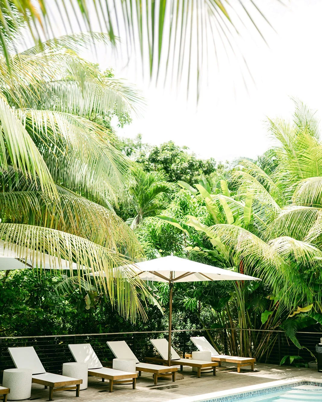 What Our Guests Are Saying &rarr; &quot;We really enjoyed our stay. The property was quiet, and the area felt less touristy than other areas of the island. It had a very nice pool surrounded by lush vegetation, and a beach steps away. The Shack resta