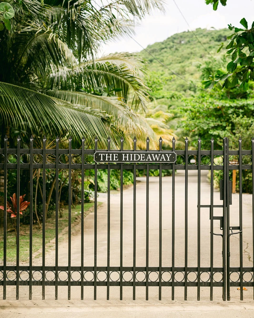 What Our Guests Are Saying &rarr; &quot;We loved our stay at the Hideaway. Excellent location in St Thomas - off the beaten path with access to a beautiful and serene beach. Cottage and property was exactly as described.&quot; 

---
#stthomasvirginis