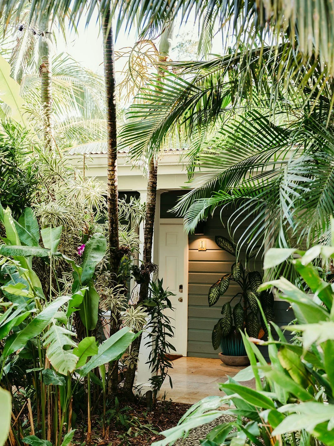 What Our Guests Are Saying &rarr; &quot;Nice and secluded away from the busyness of the island. Very well designed with the landscaping around the cottage and pool. The little fruit farm was great! We highly recommend this for couple retreat or for f