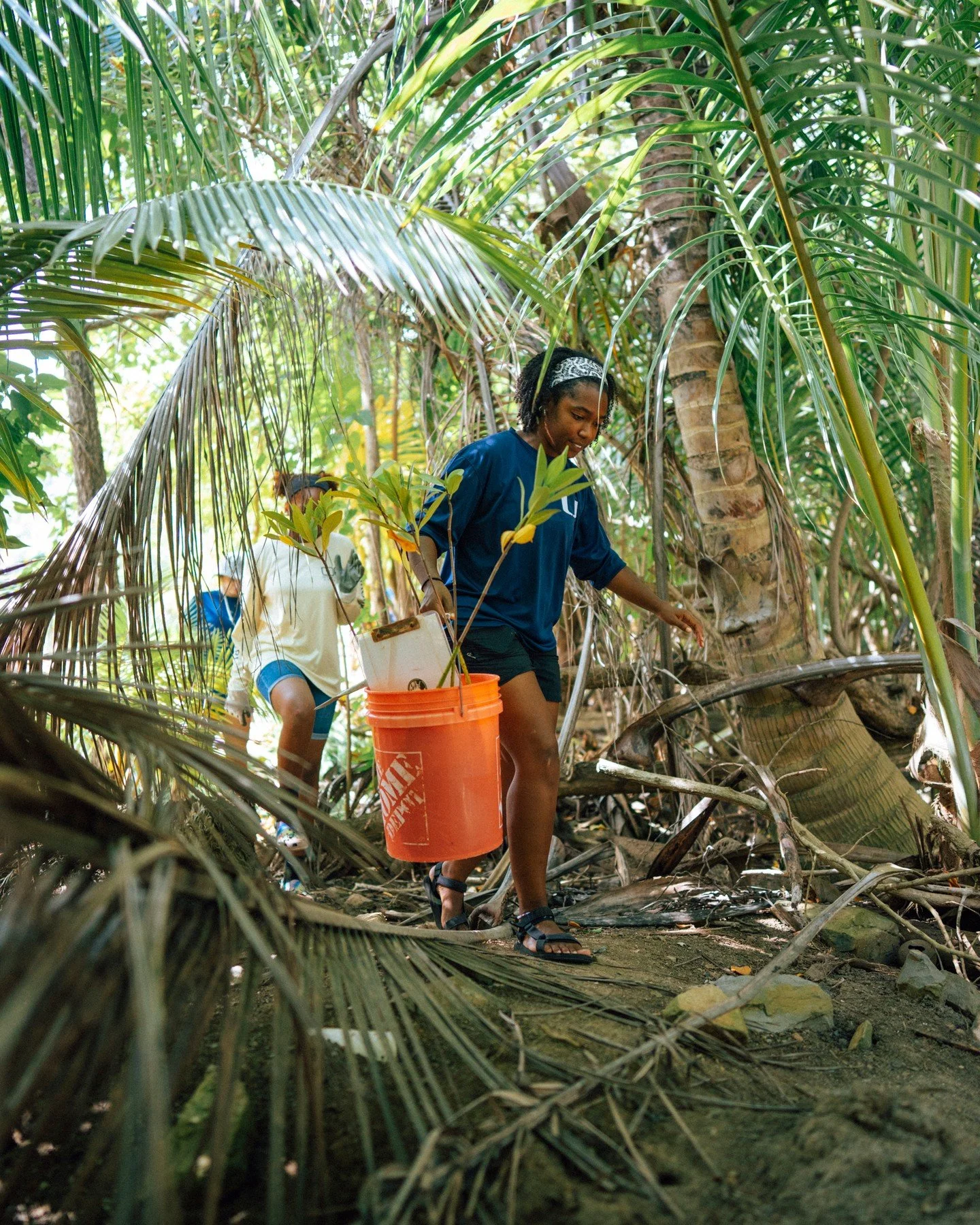 All week long, we&rsquo;ve had the privilege of hosting students from @uvi_edu and @grroe.usvi.mangroves alongside local high schools at The Hideaway at Hull Bay as they take part in an ongoing mangrove restoration effort. After the small mangrove fo
