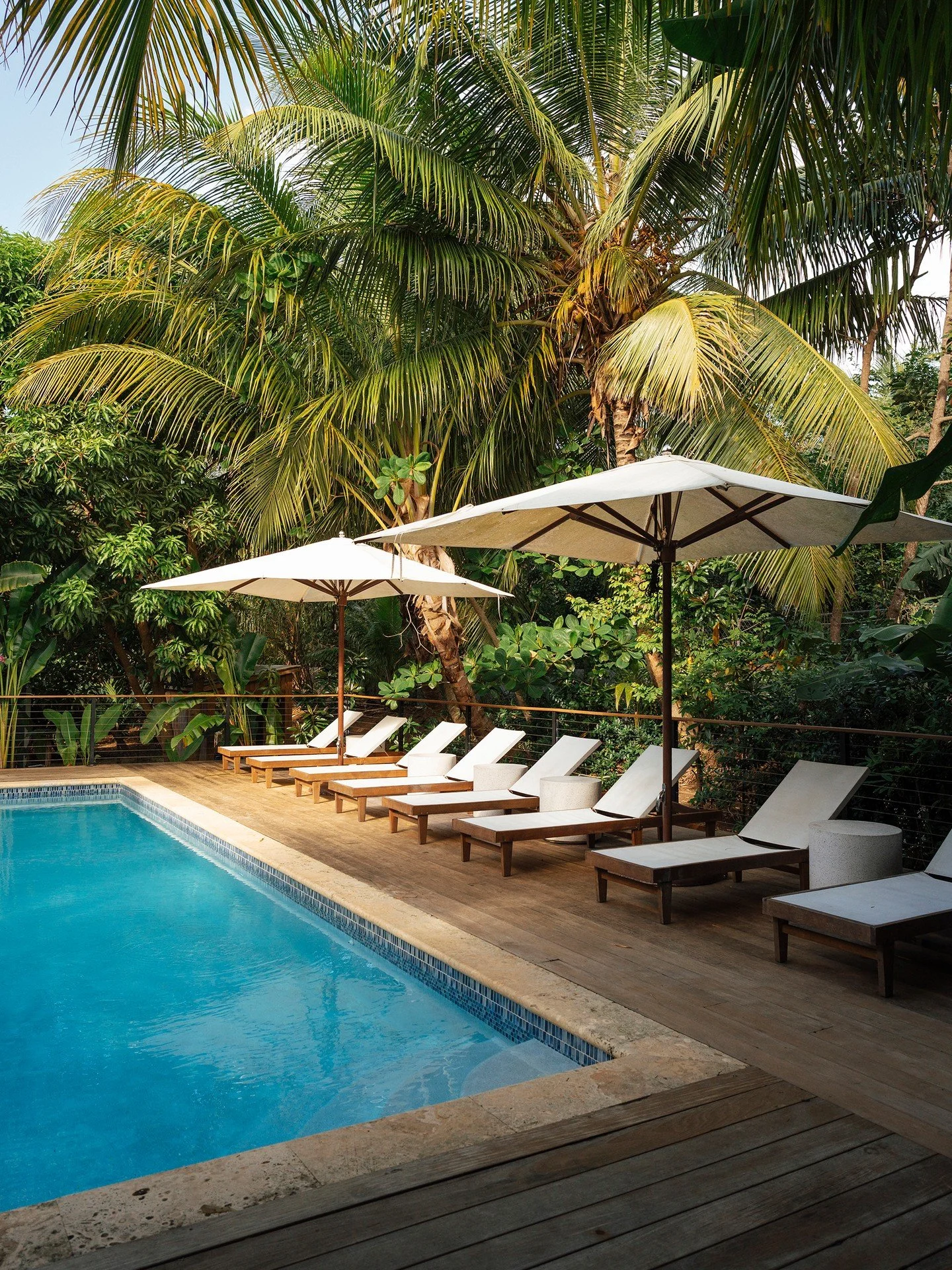 Our pool at The Hideaway is a small oasis in the middle of a big oasis. The water feels great year round, the 🌴 cover you with shade, and the chairs are the best in the world for lounging . . . or a nap. 

...

#stthomas #usvi #USVirginIslands #cari