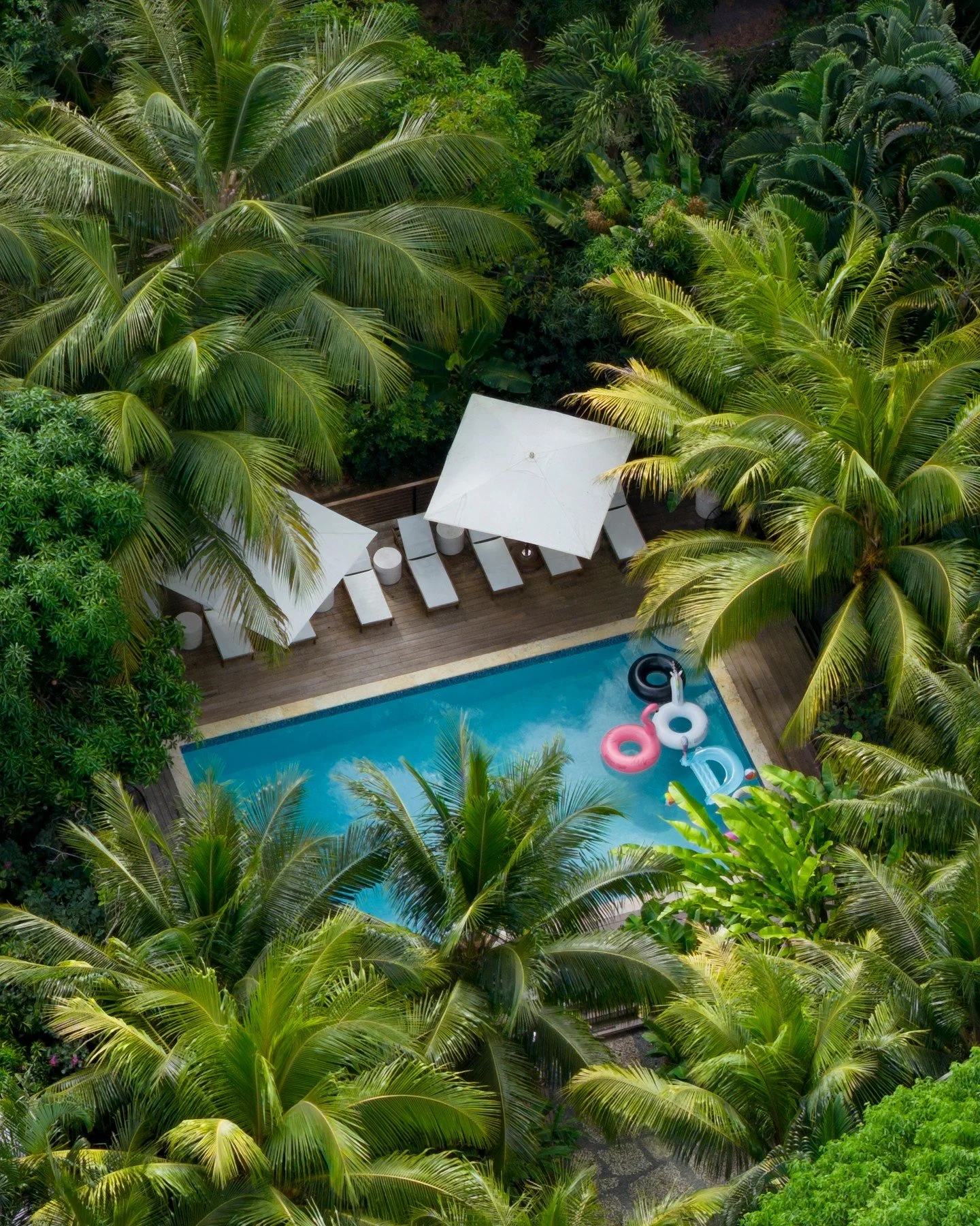 Tucked beneath a canopy of palms, our private pool feels like your own secluded tropical hideaway in the heart of the island. Privacy and relaxation for days . . . on days . . . on days . . . on days at The Hideaway. 🌴 

...

#stthomas #usvi #USVirg