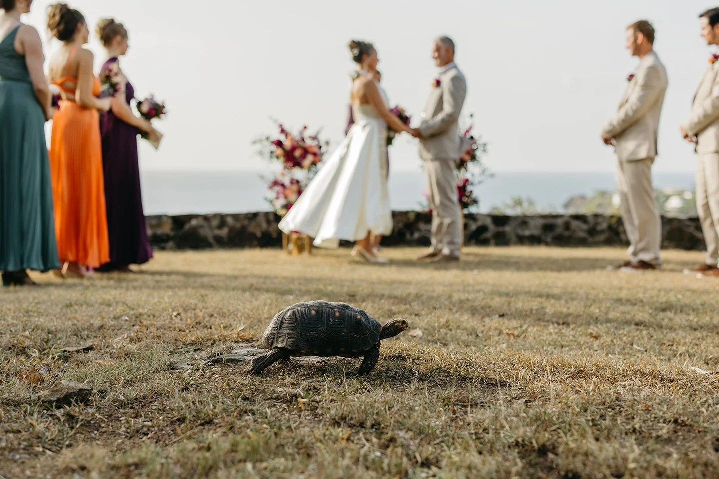 One more guest than expected... &amp; arguably the cutest! 

Photographer: @chelseywilliamsphoto 
Florist: @budsandrosesfiori 
Venue: House on the Hill @hideawayhullbay 

...

#usvi #virginislands #destinationwedding #islandwedding #luxurywedding #we