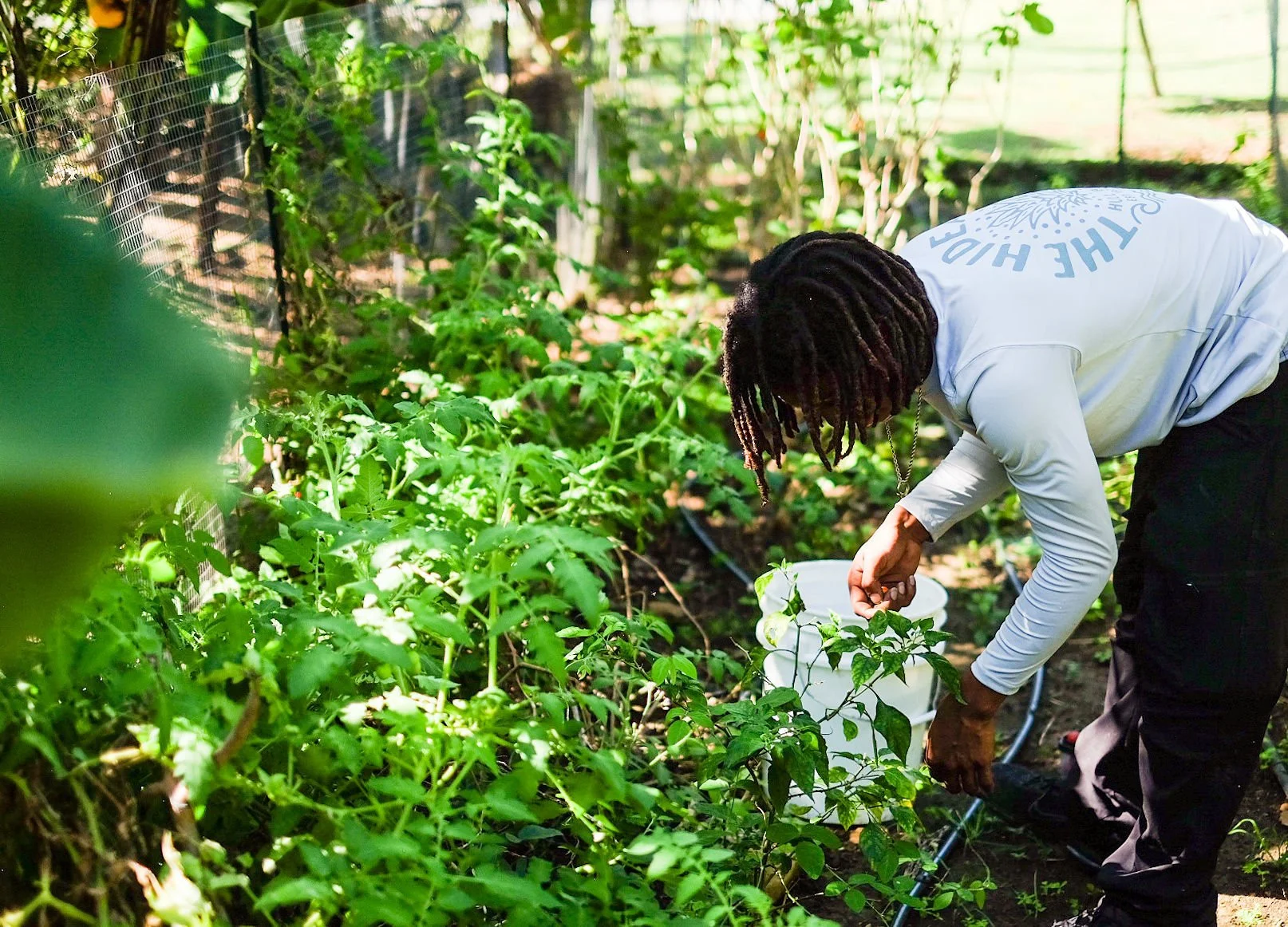 ST THOMAS SOURCE: The Hideaway Founder, Lee Steiner, on the Future of Agritourism in the U.S. Virgin Islands