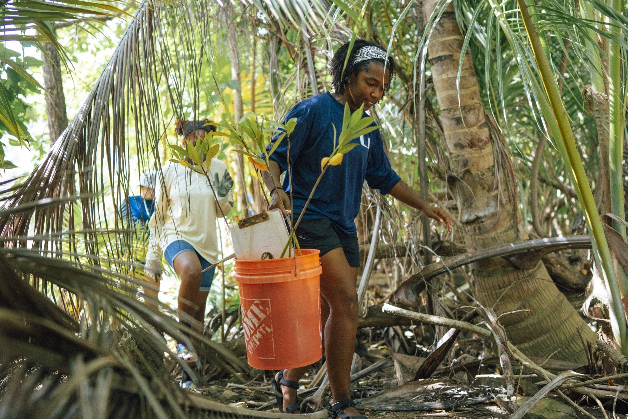 ST THOMAS SOURCE: The Hideaway Founder, Lee Steiner, on the Future of Agritourism in the U.S. Virgin Islands