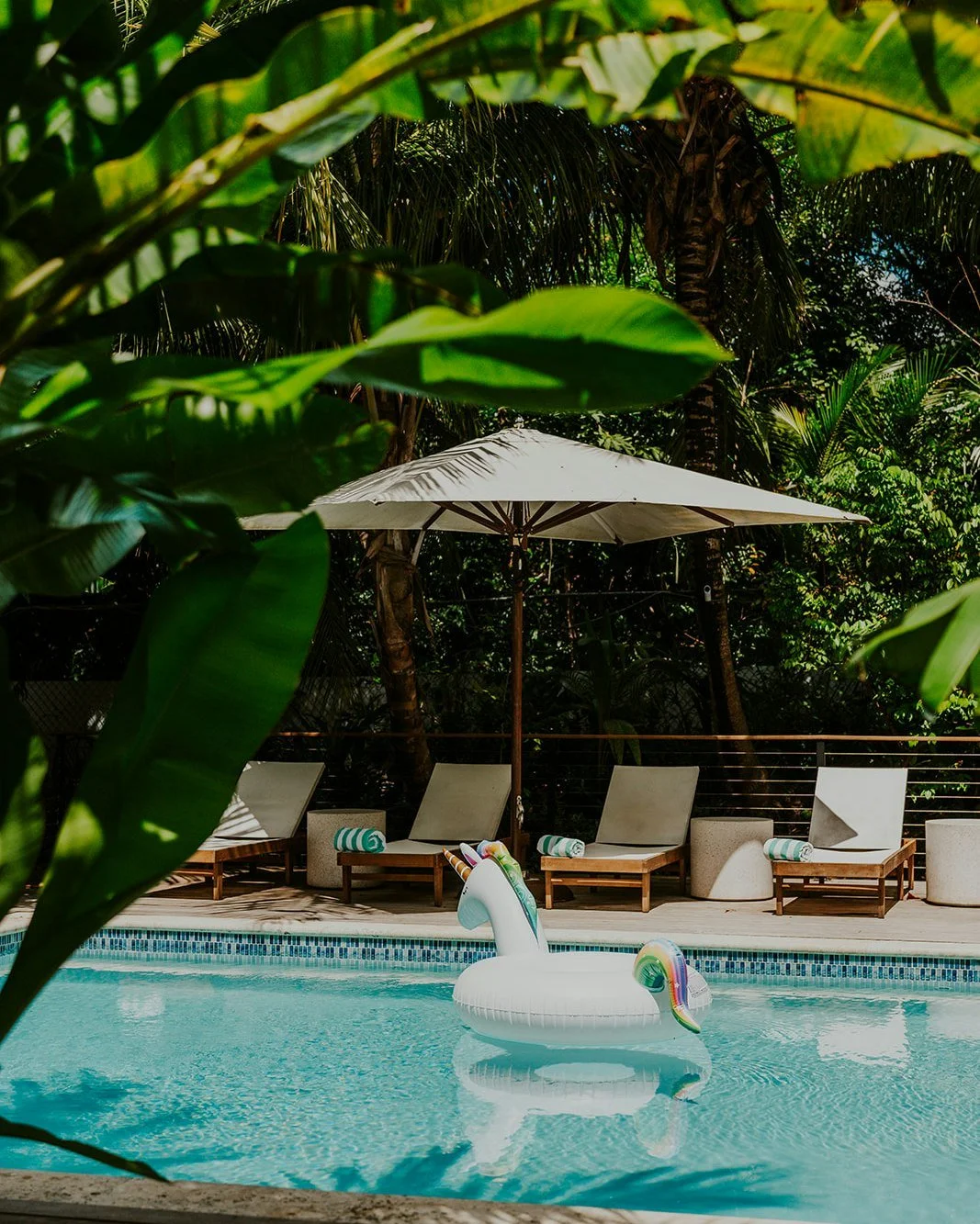 The Hideaway is a little bit of a unicorn on St. Thomas. 🦄🌴 Tucked away from the hustle and bustle, where the days move slower and the Caribbean feels a little more untouched. A true hidden gem.
...

#stthomas #usvi #USVirginIslands #caribbean #tra