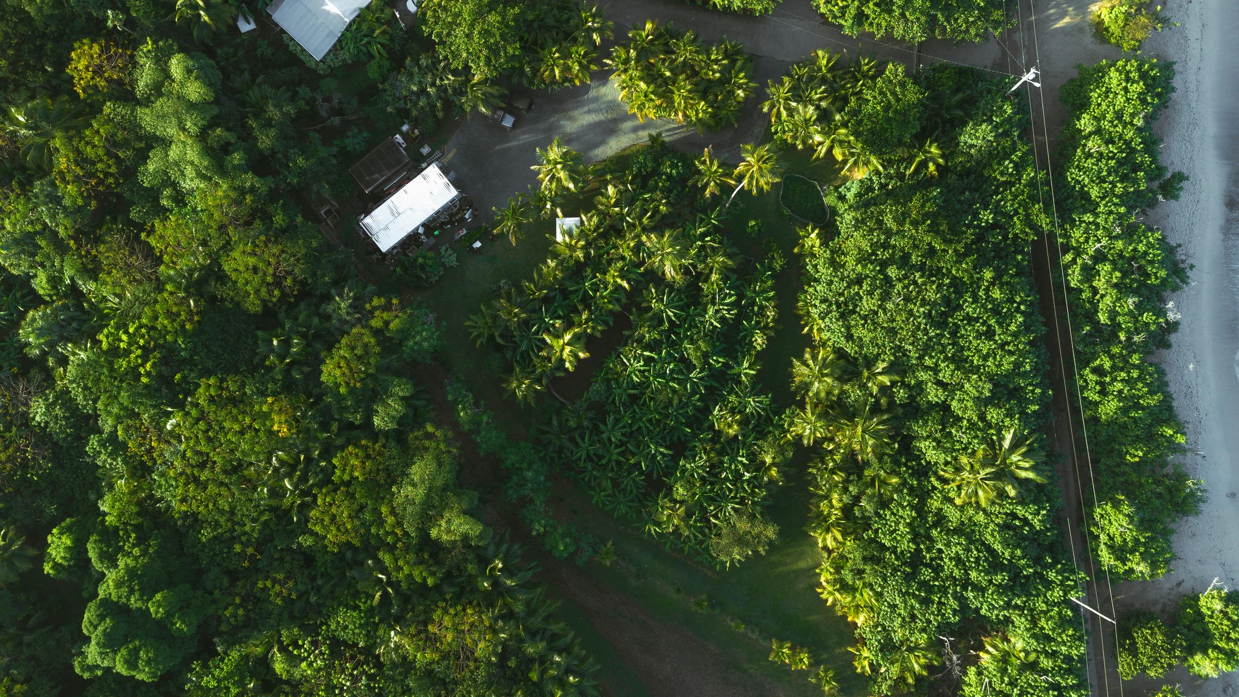 Take Root: Restoring Mangroves at Hull Bay for the Next Generation