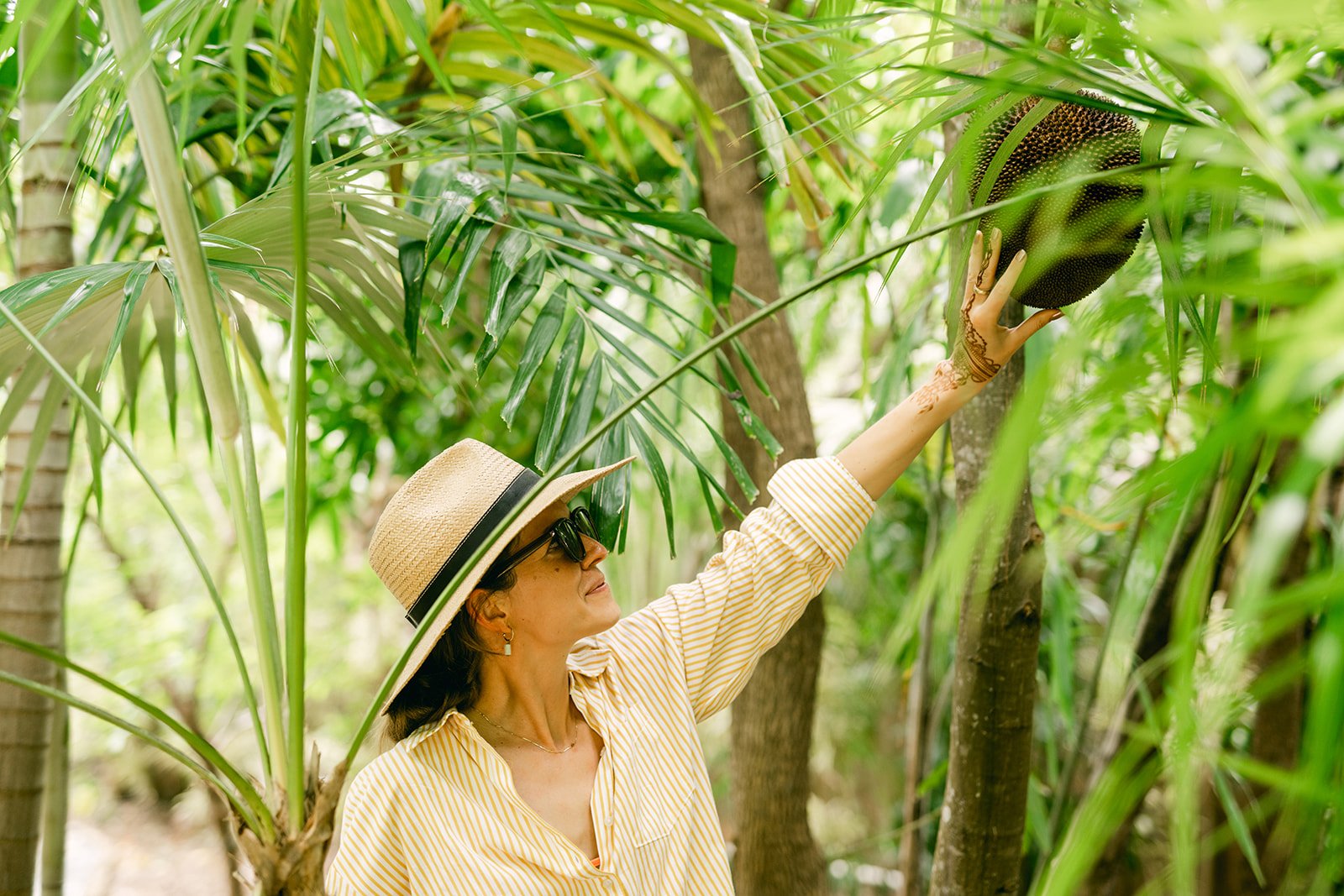 Farm-to-Table Dining in the US Virgin Islands