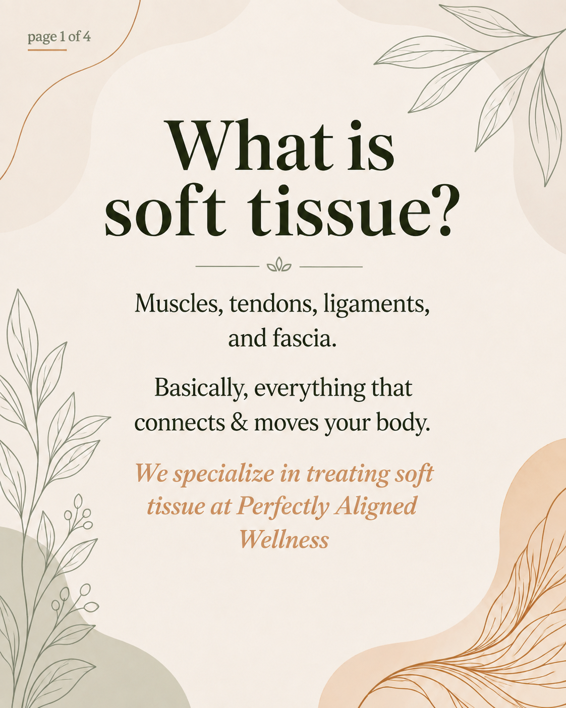What is Soft Tissue?