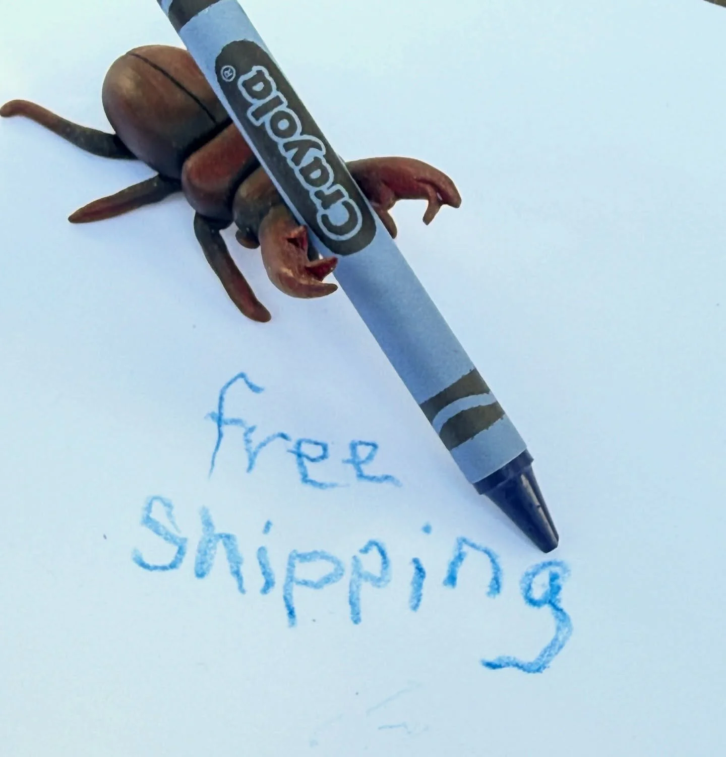 Free shipping in the shop starting today 🫶