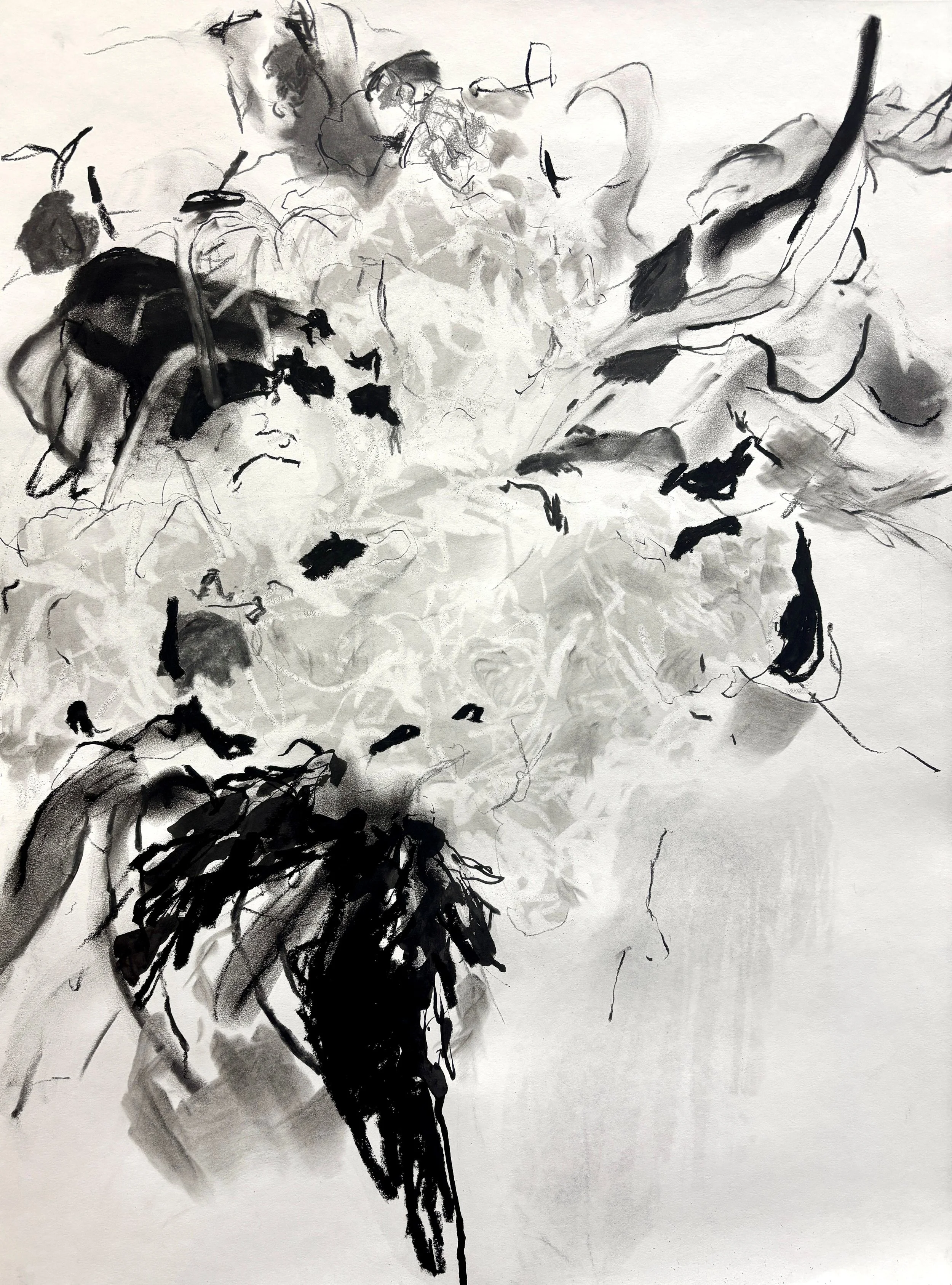 "Collapse", 2026. Charcoal, ink, graphite on paper, 24" x 18"