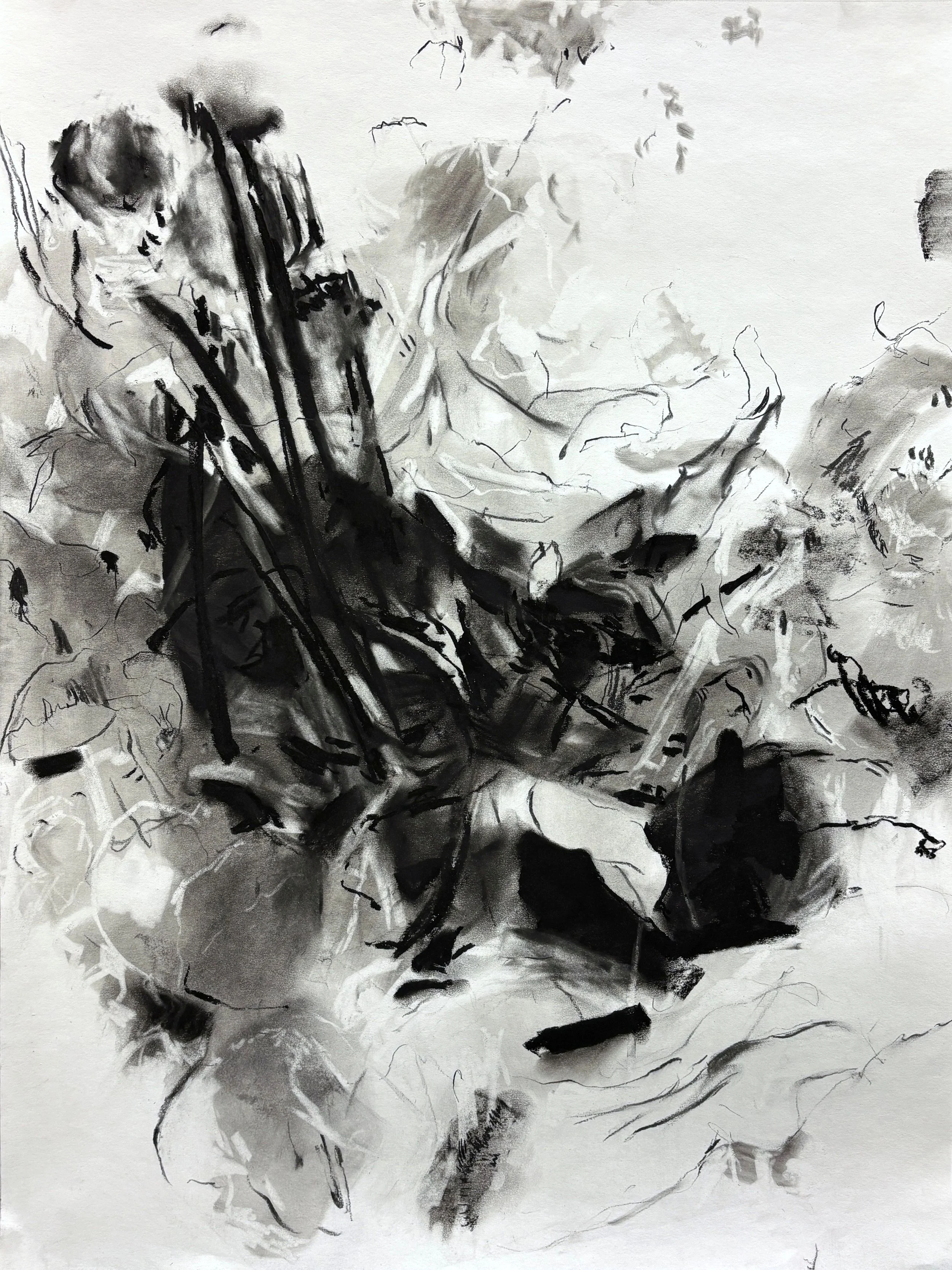 "Settling", 2025. Charcoal on paper, 24" x 18"