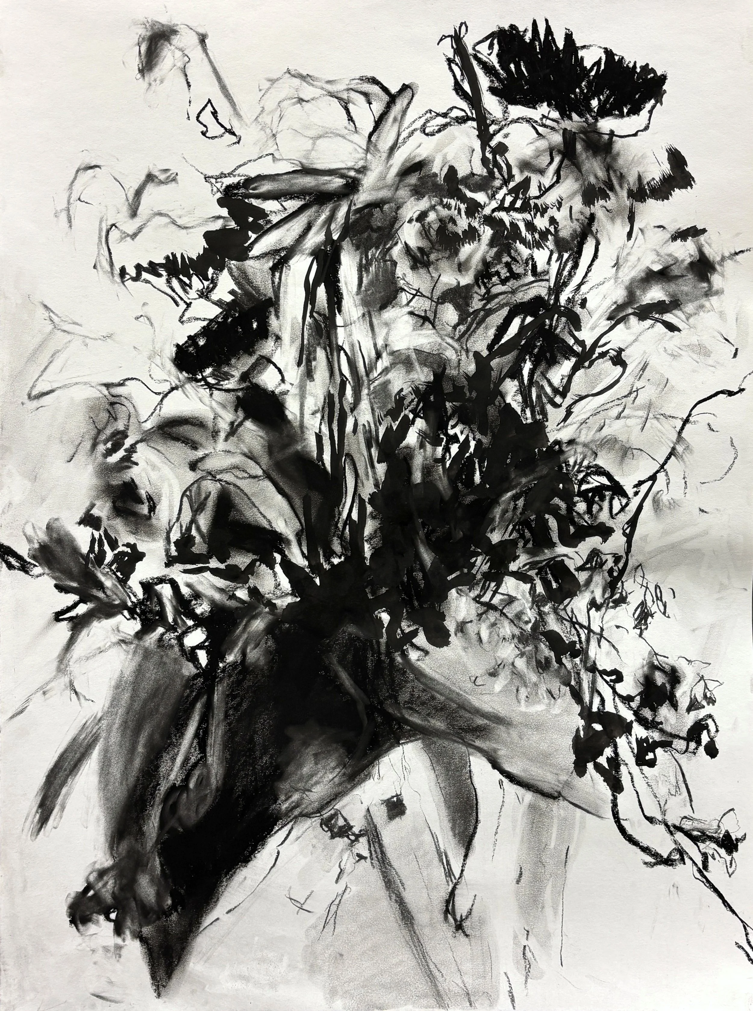 "Held", 2025. Charcoal on paper, 24" x 18"