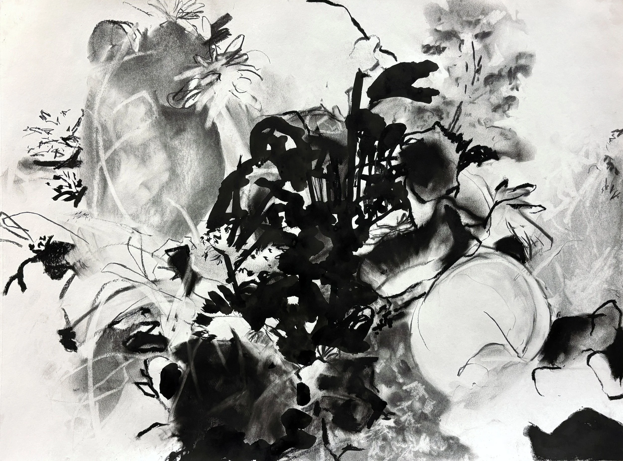 "Stretch", 2025. Ink and charcoal on paper, 18" x 24"