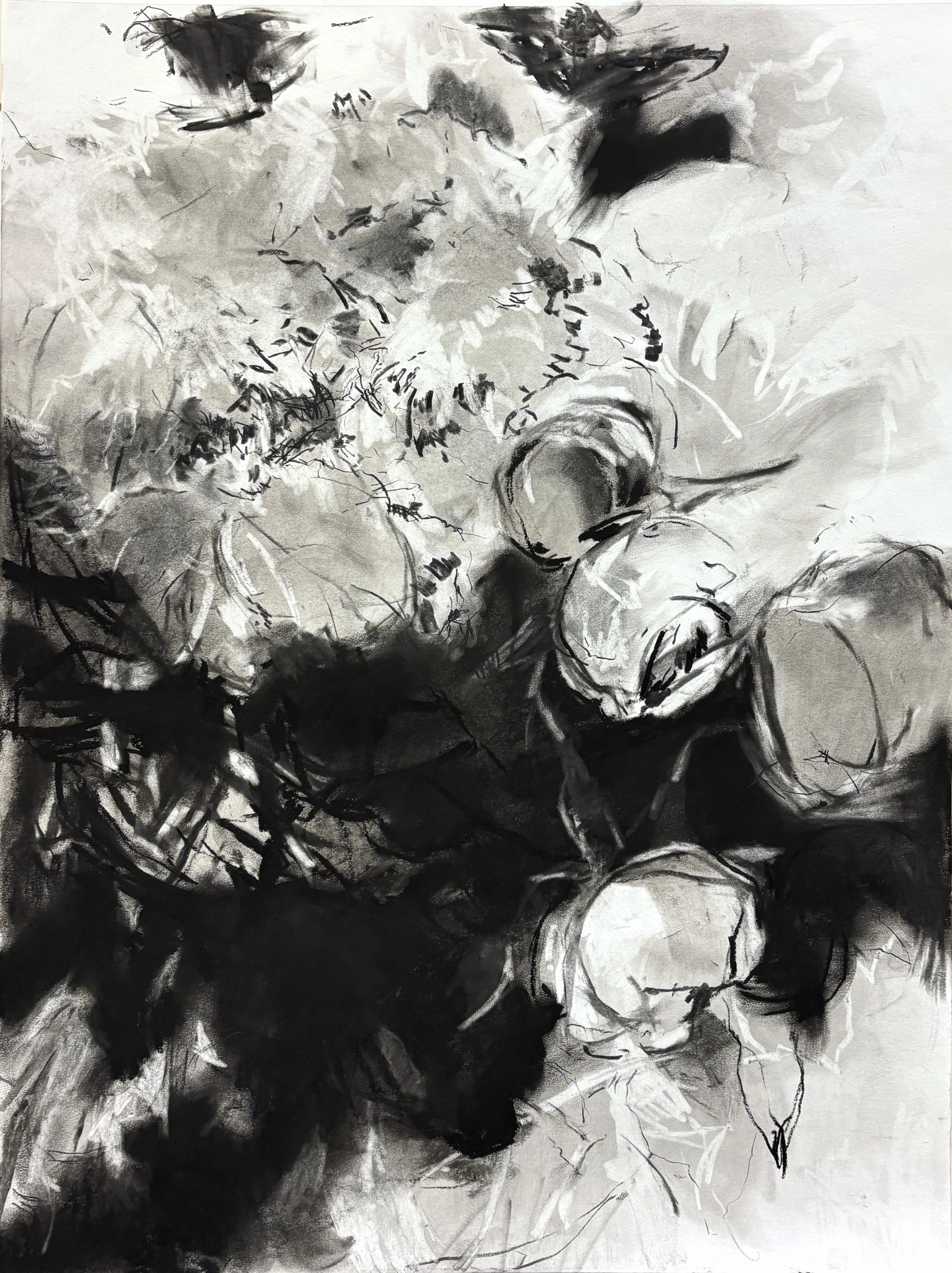 "Hovering", 2025. Charcoal on paper, 24" x 18"
