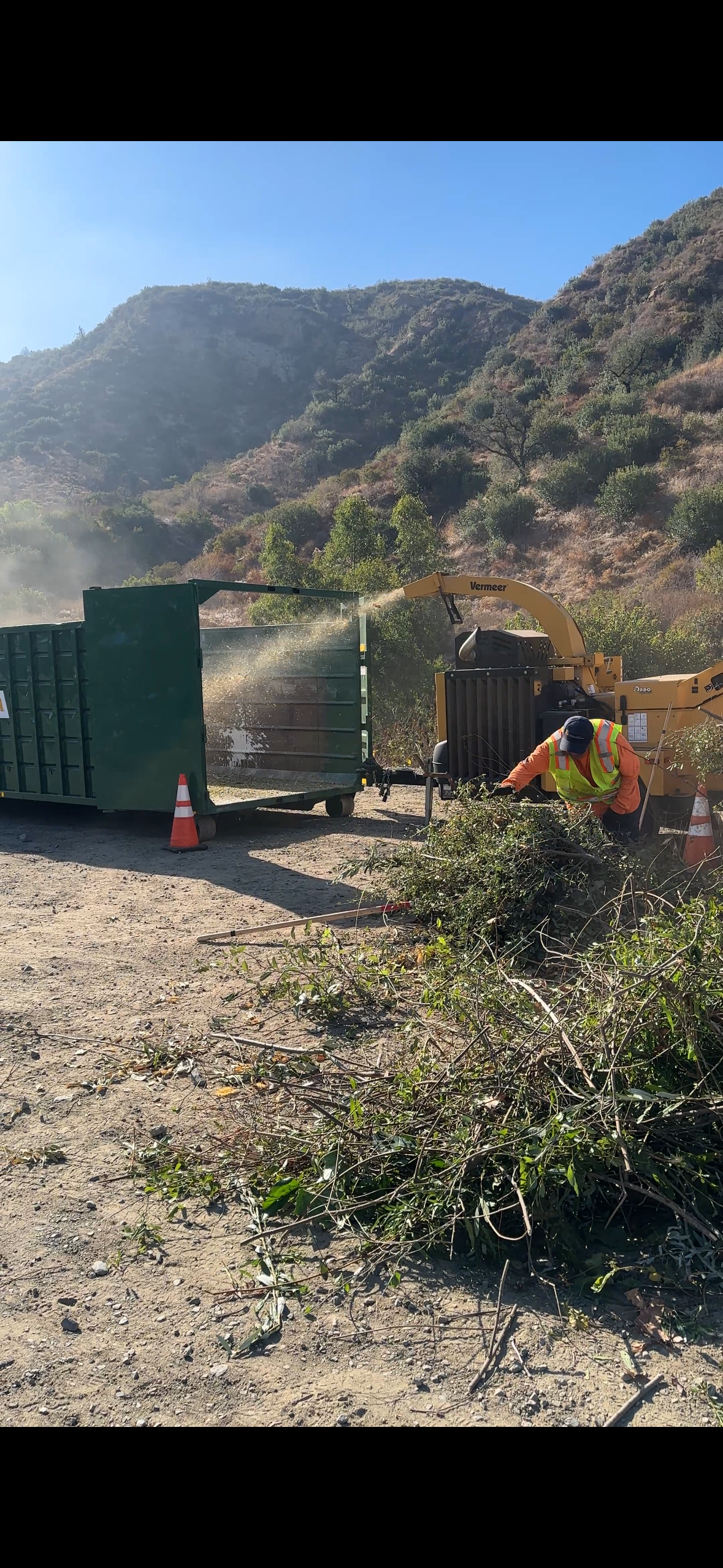 Chipper Day in Action!
