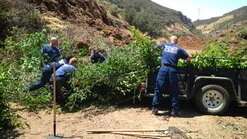 Copy of 248_IMG_00000111.jpg