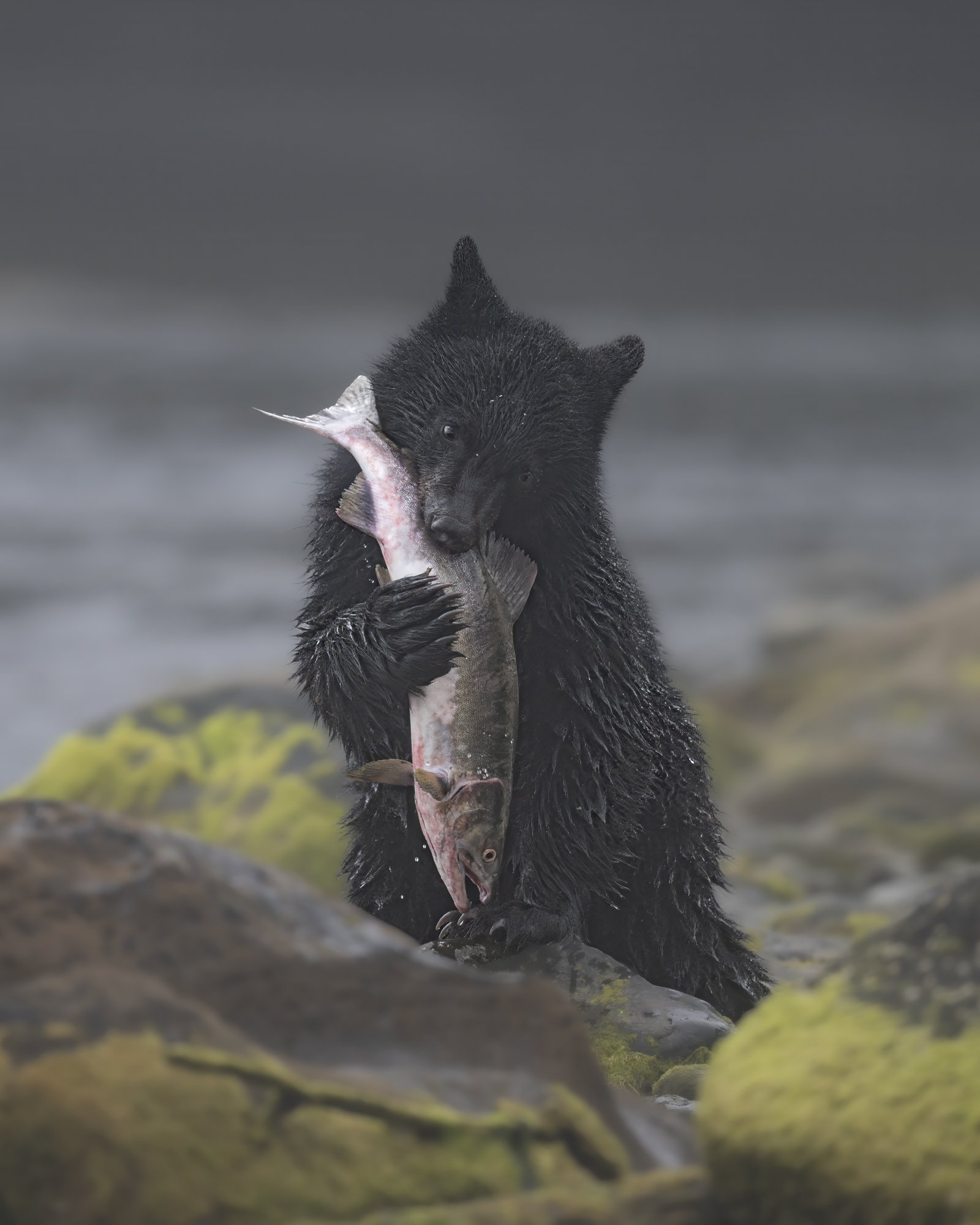 DSC_7719-Edit.jpg