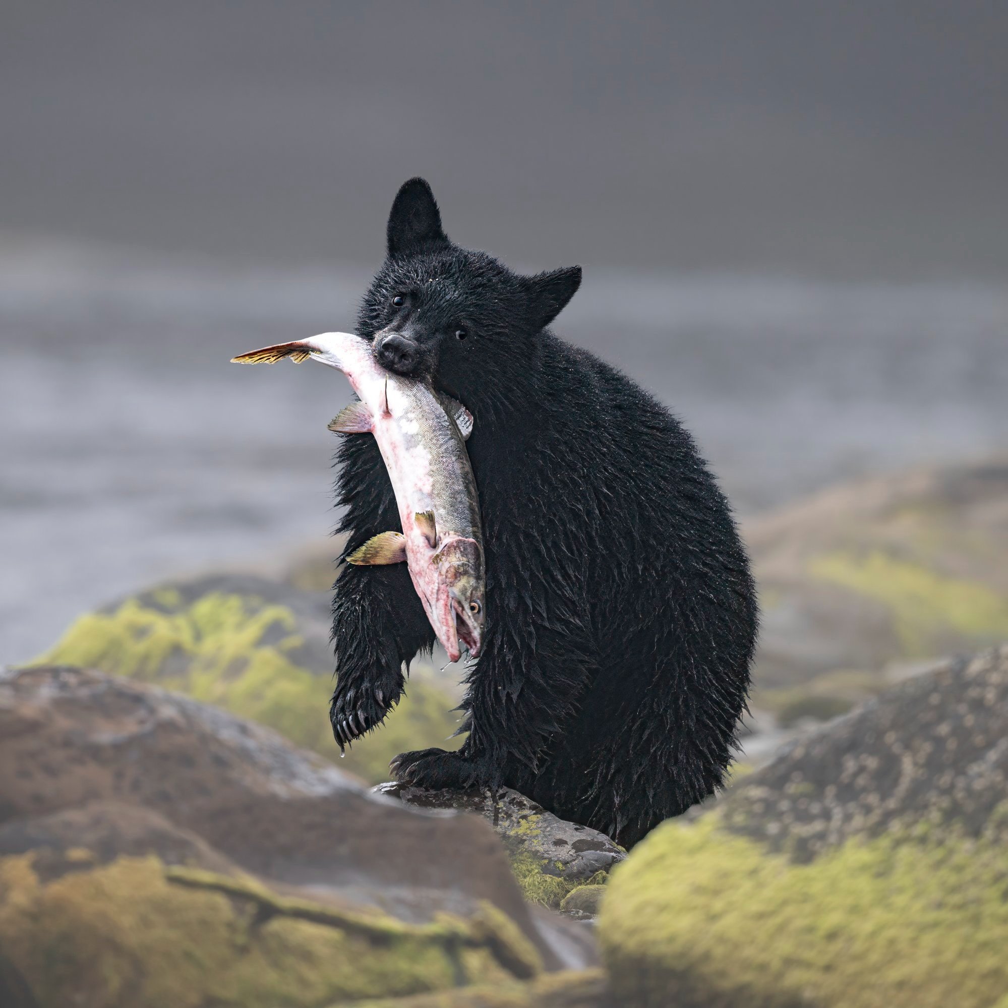 DSC_7707-Edit.jpg